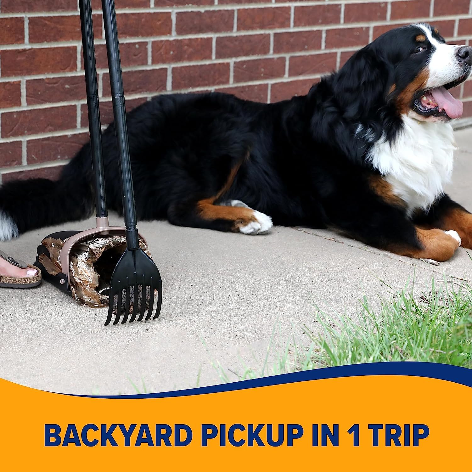 Arm & Hammer Dog Pooper Scooper Swivel Bin & Rake, Poop Scoop For Dogs, Black (2 Heavy Duty Scented Waste Bags Included)