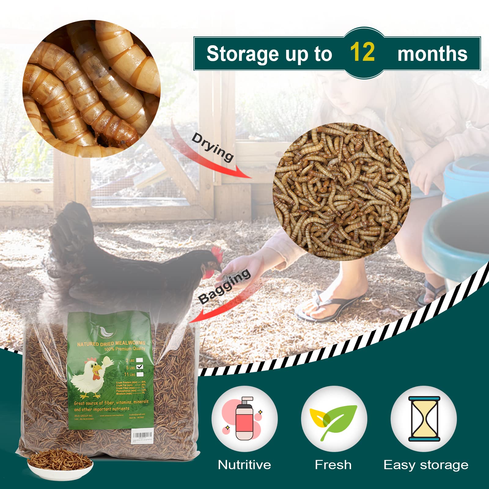 Euchirus 6LBs Non-GMO Dried Mealworms,High-Protein Larvae Treats Feed Molting Supplement for Birds Hens Ducks etc,Large Bulk Mea