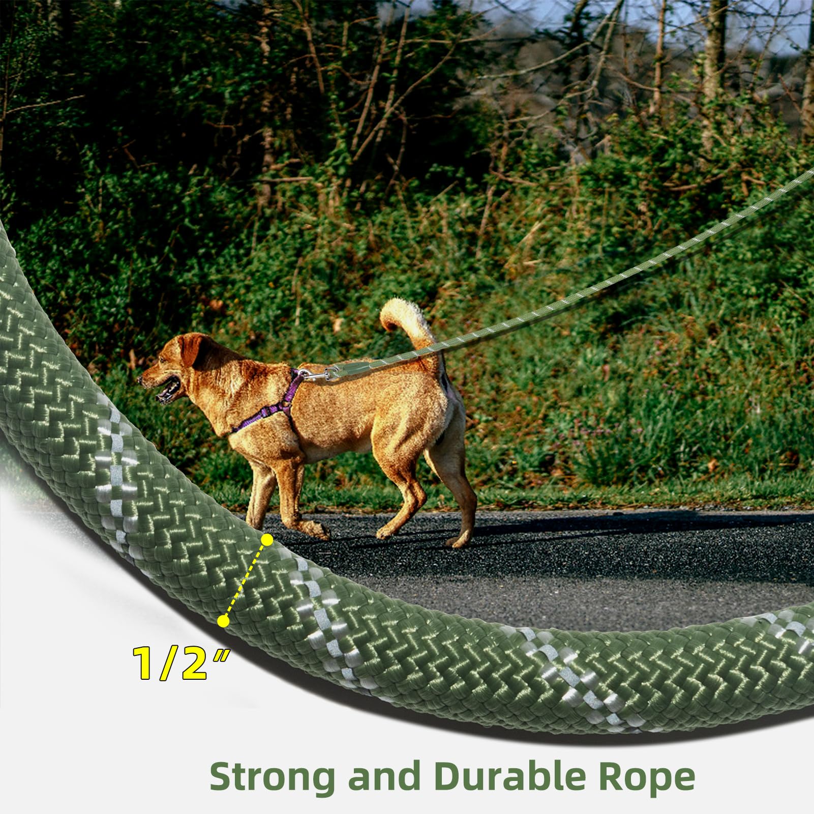 Codepets Heavy Duty Nylon Dog Leash 20FTx1/2in Green with Comfortable Silicone Handle Highly Reflective No Tangle for Medium Lar