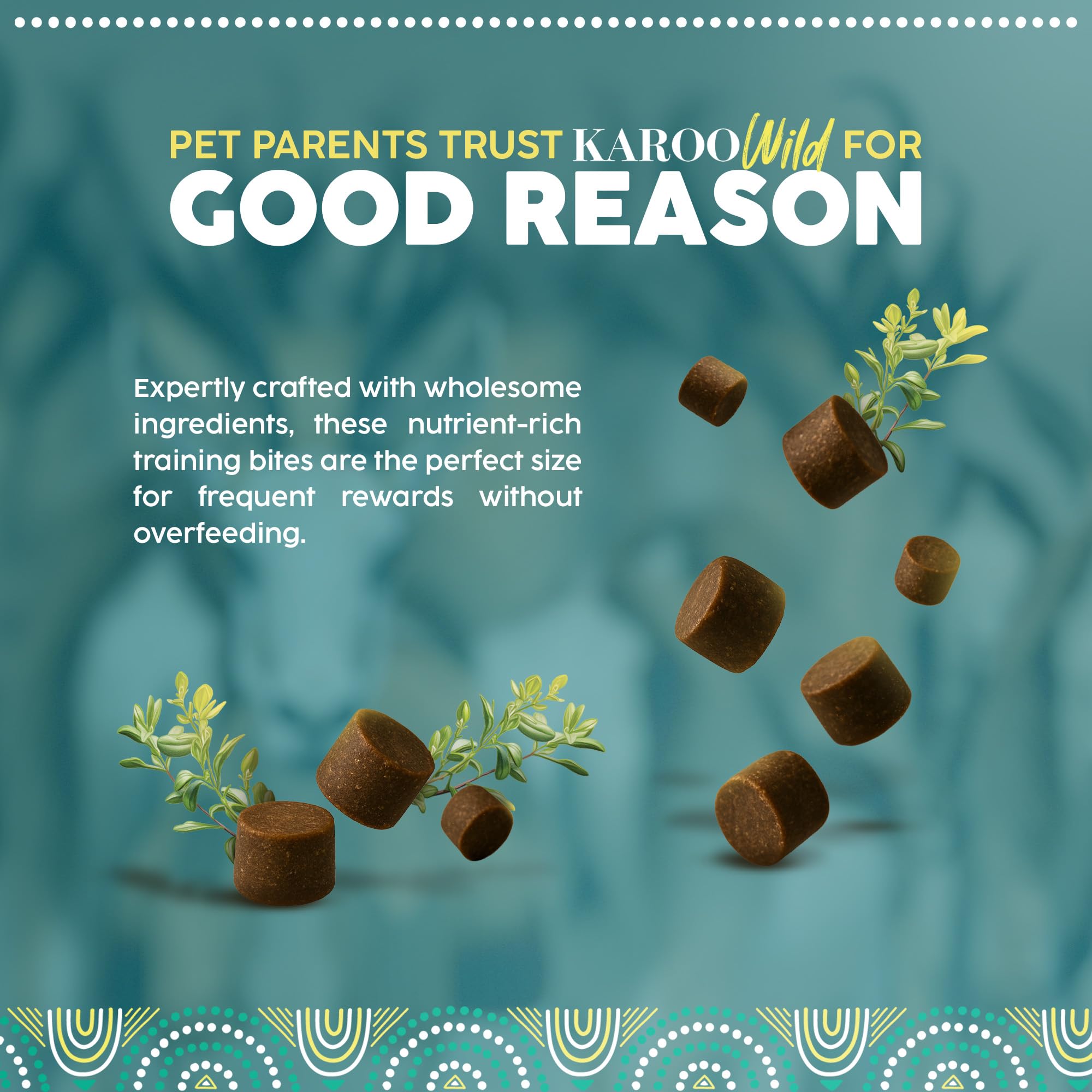 Karoo Wild Training Bits Thyme Seasoned Treats for Dogs - 4 oz - Soft & Chewy Protein Bits Made with African Antelope - Great fo