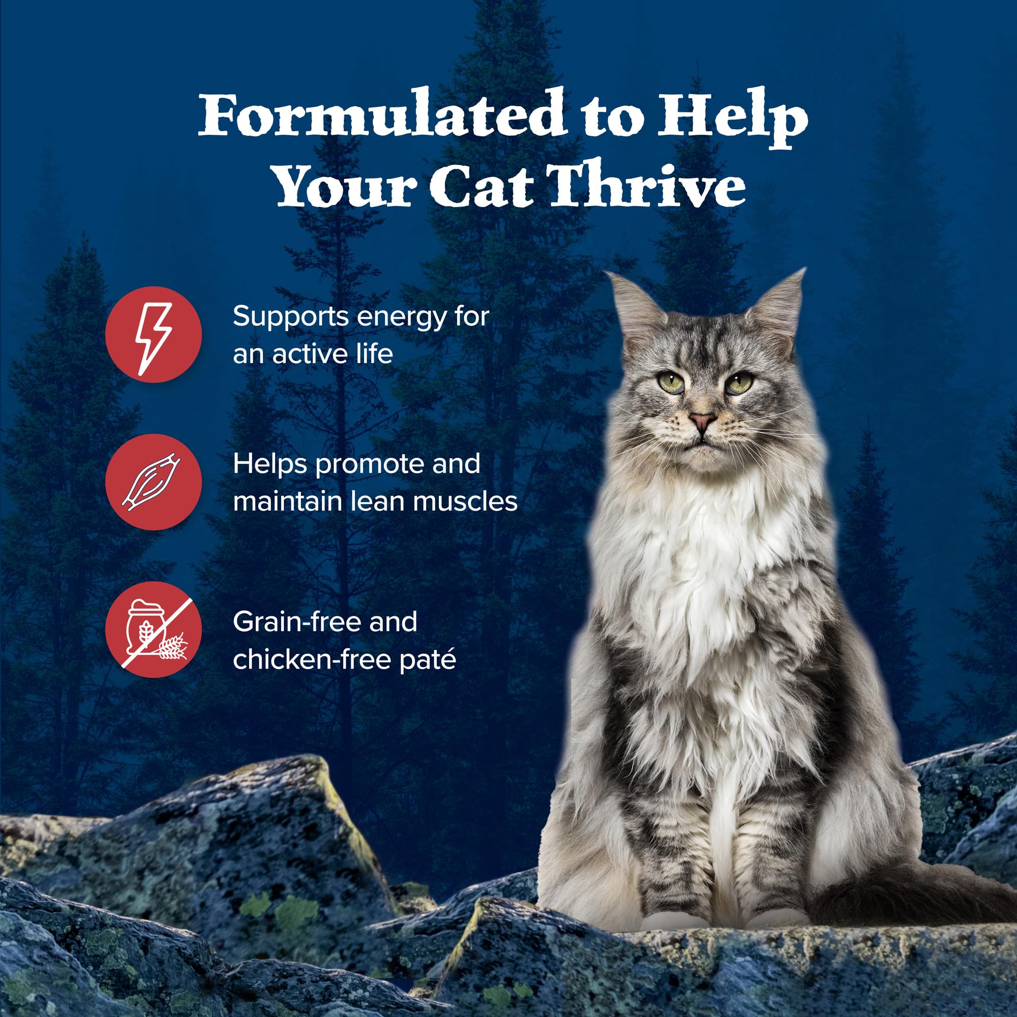 Blue Buffalo Wilderness Rocky Mountain Recipe Flaked Wet Cat Food, Chicken-Free & Grain-Free Recipe, Made with Natural Ingredien