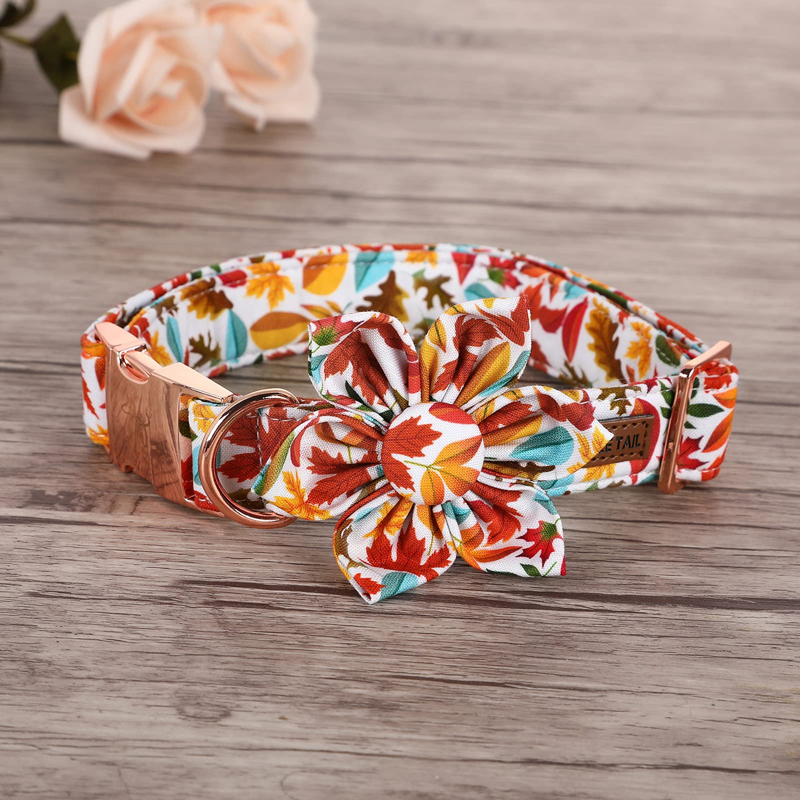 Elegant Little Tail Flower Dog Collar For Female Or Male Dogs, Fall Pet Collar Adjustable Dog Collars Gift For X-Small Dogs And Cats