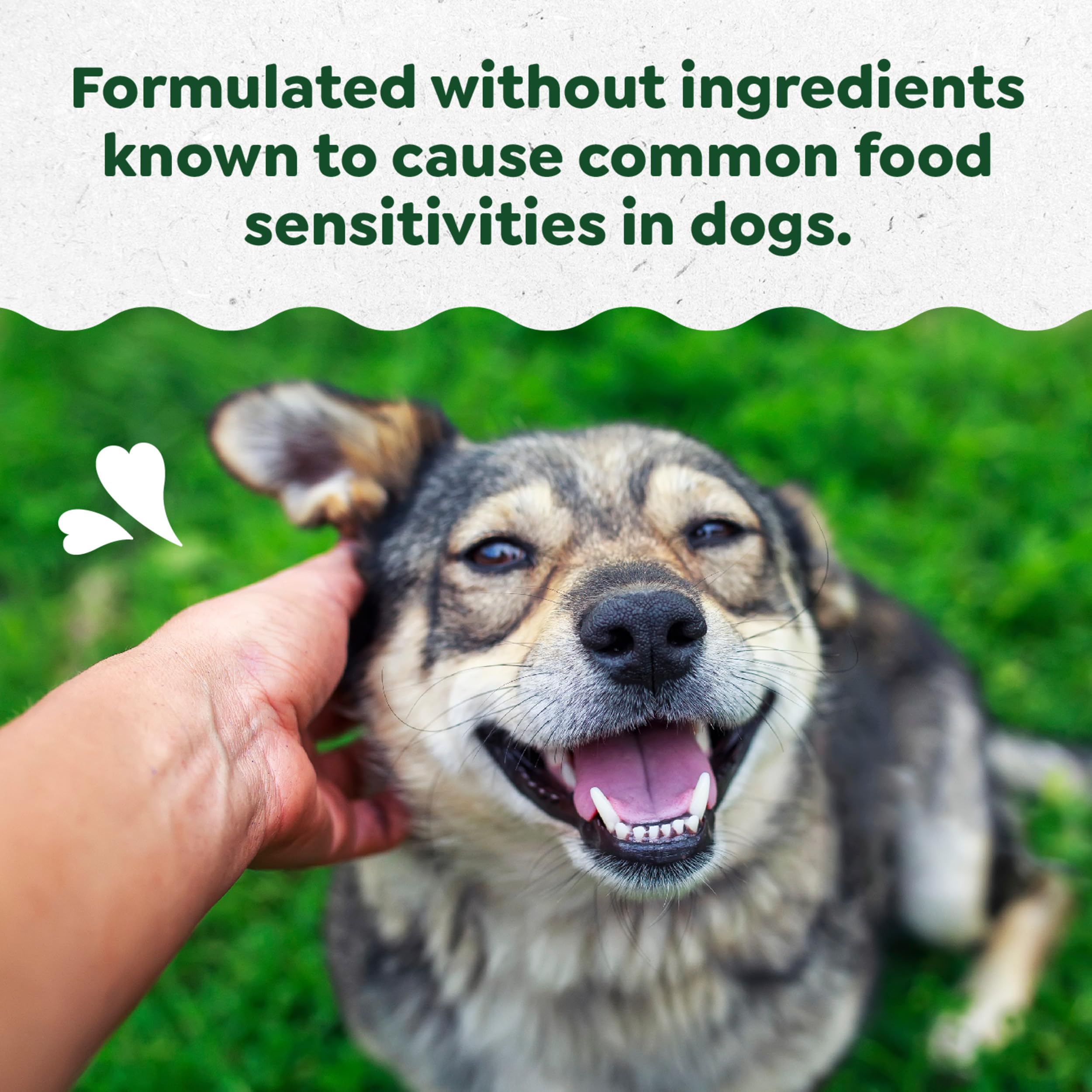 Greenies Sensitive Care Skin and Coat Supplement for Dogs with Fish Oil for Dogs Chicken-Free Formula Dog Supplement, Peanut But