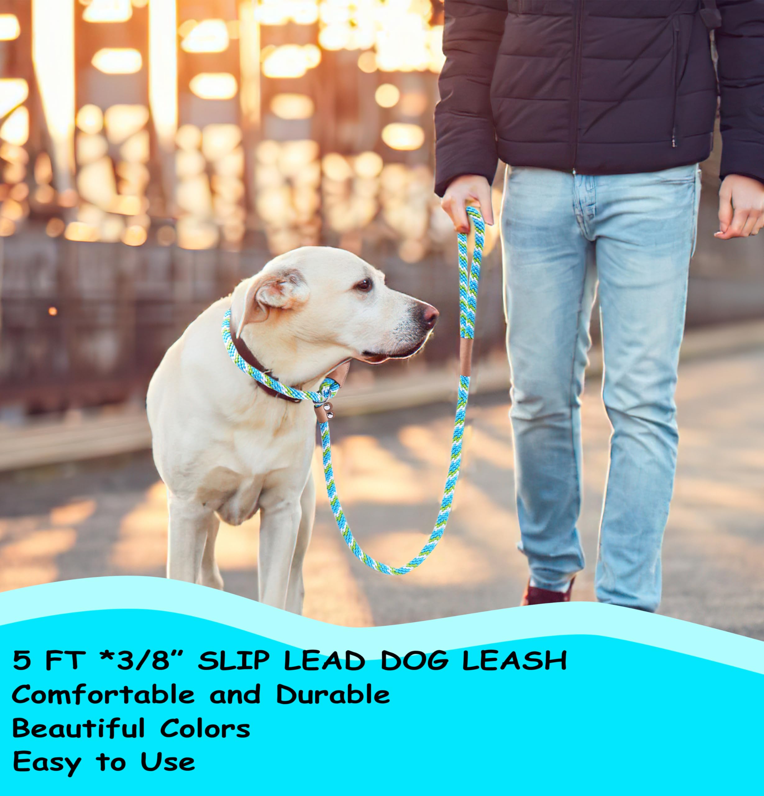 Slip Leads For Dogs 5 Ft Slip Leash Strong Dog Training Leash Lightweight Dog Slip Lead Comfortable Slip Lead Dog Leash Braided