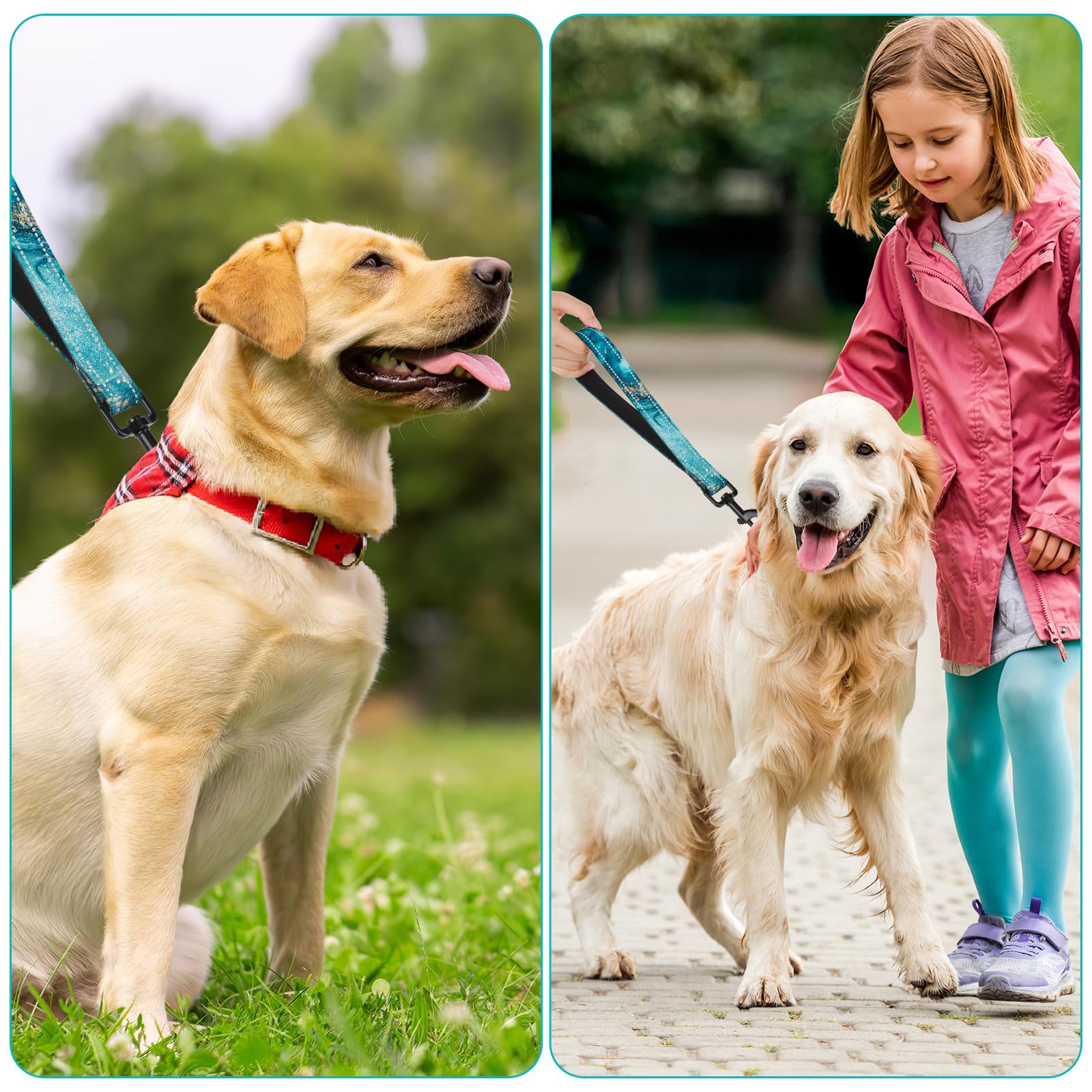 Blue Ocean Nylon Short Dog Leash For Training Control - Reflective, Padded Handle For Large & Medium Dogs