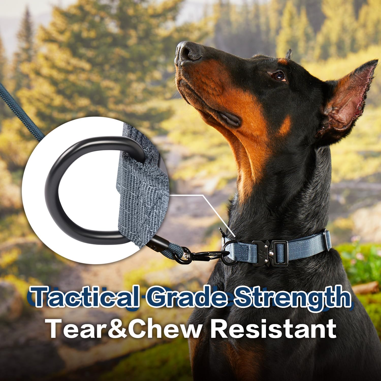 Pawspassion Heavy Duty Dog Collar For X-Large Dogs, Chew Proof Metal Hardware, Reinforced Nylon Dog Collar With Metal Quick-Rele