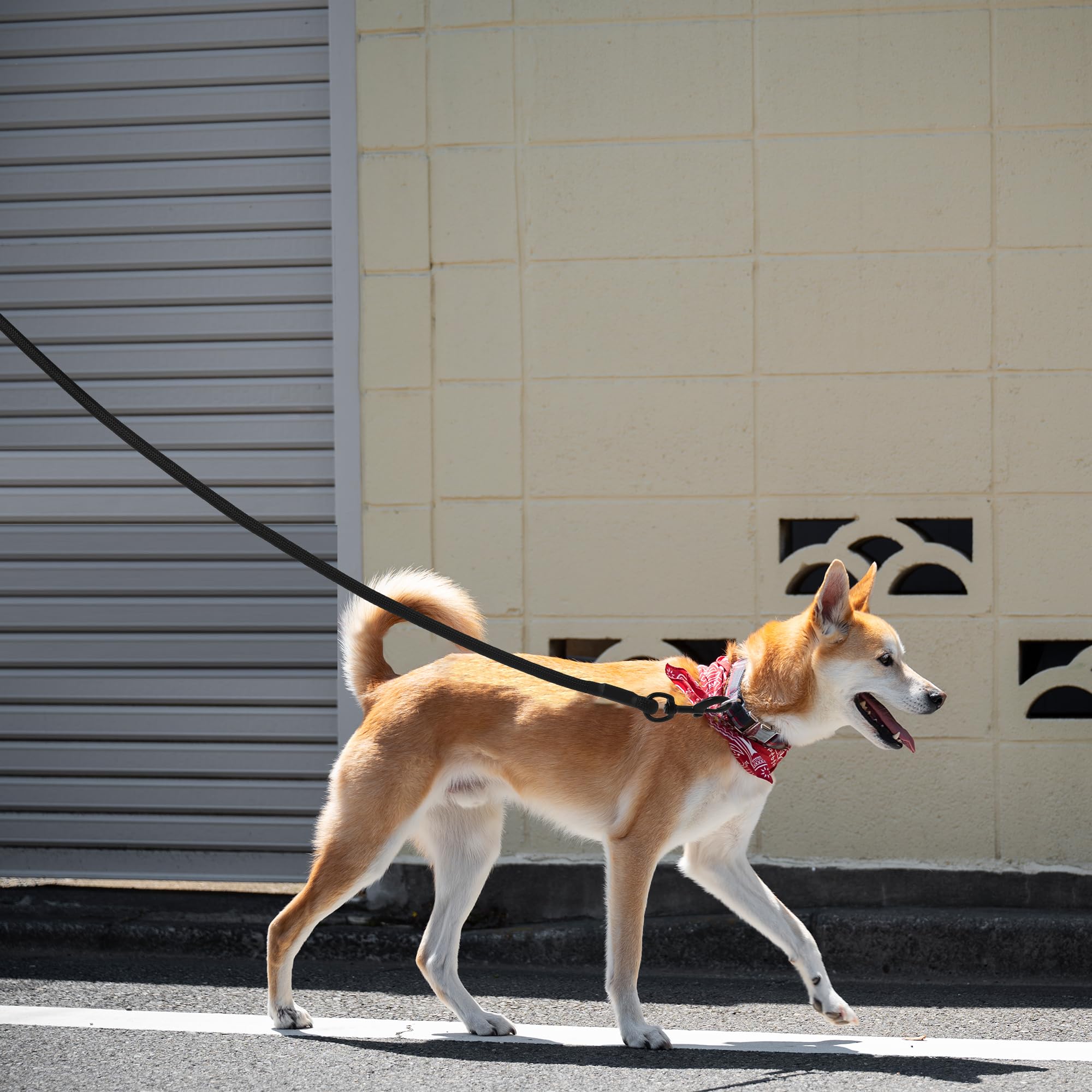 Mile High Life Long Dog Leash, 10 Feet With Comfortable Padded Handle, Black Nylon Rope Leash With Steel Tips, Heavy Duty Pet Le