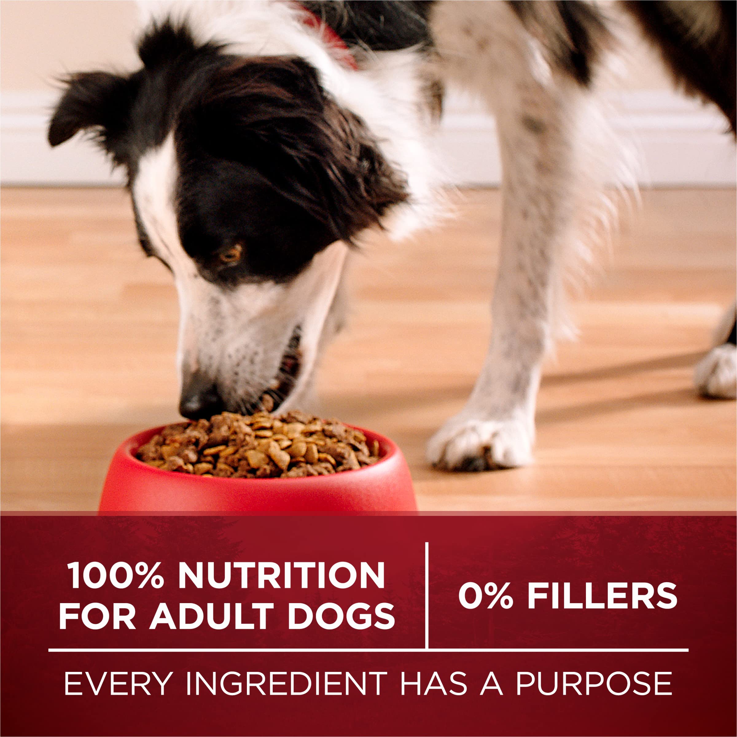 Purina ONE True Instinct With Real Salmon and Tuna Dry Dog Food - 7.4 lb. Bag