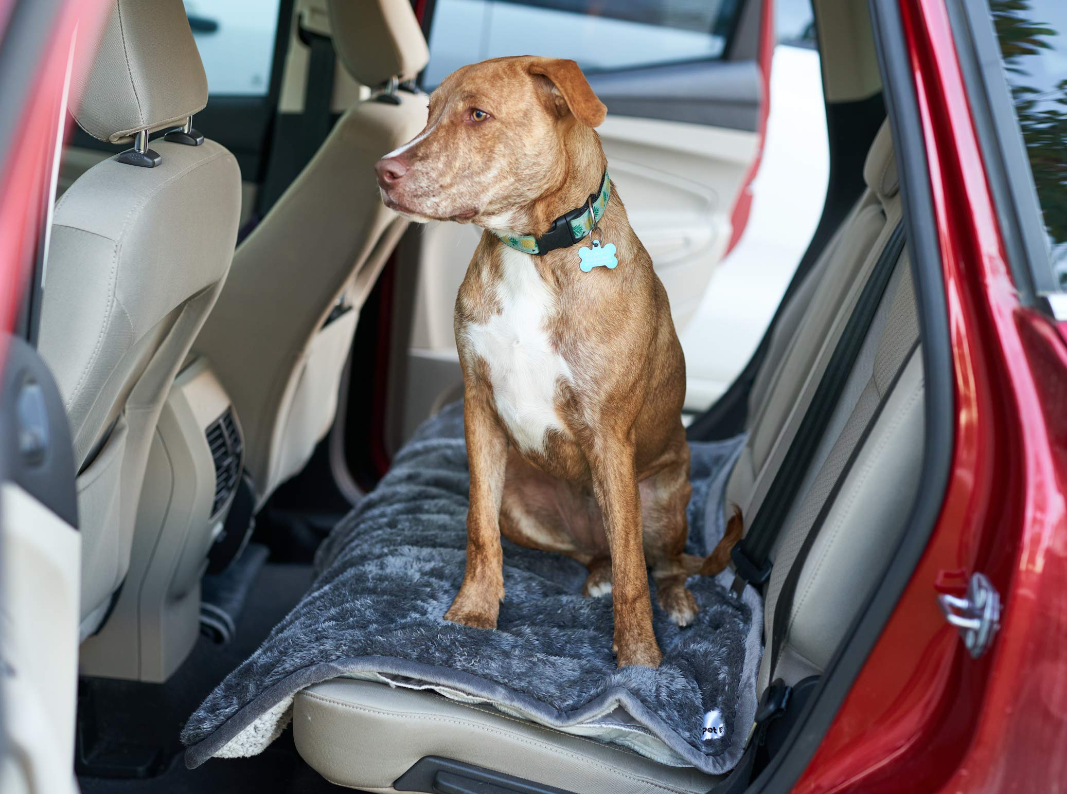 Pet Parents Pawtect Blanket, Premium Waterproof Cat & Dog Blanket with WickQuick & Sherpup Technology, Puppy Blanket, Waterproof