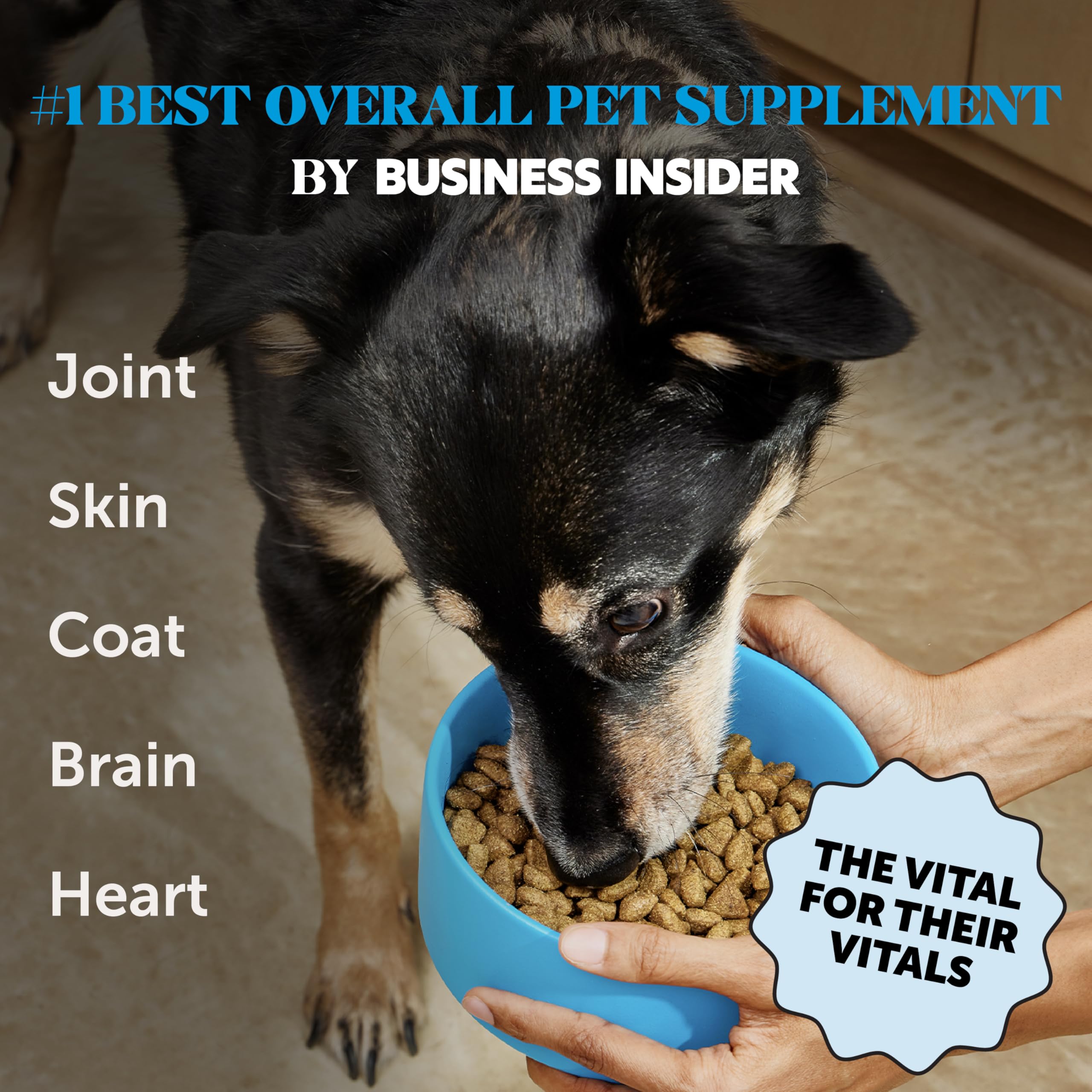PetHonesty Omega 3 Fish Oil Supplement for Dogs & Cats (32oz), Wild Caught Omega 3 Fish Oil for Skin and Coat Health, Supports S