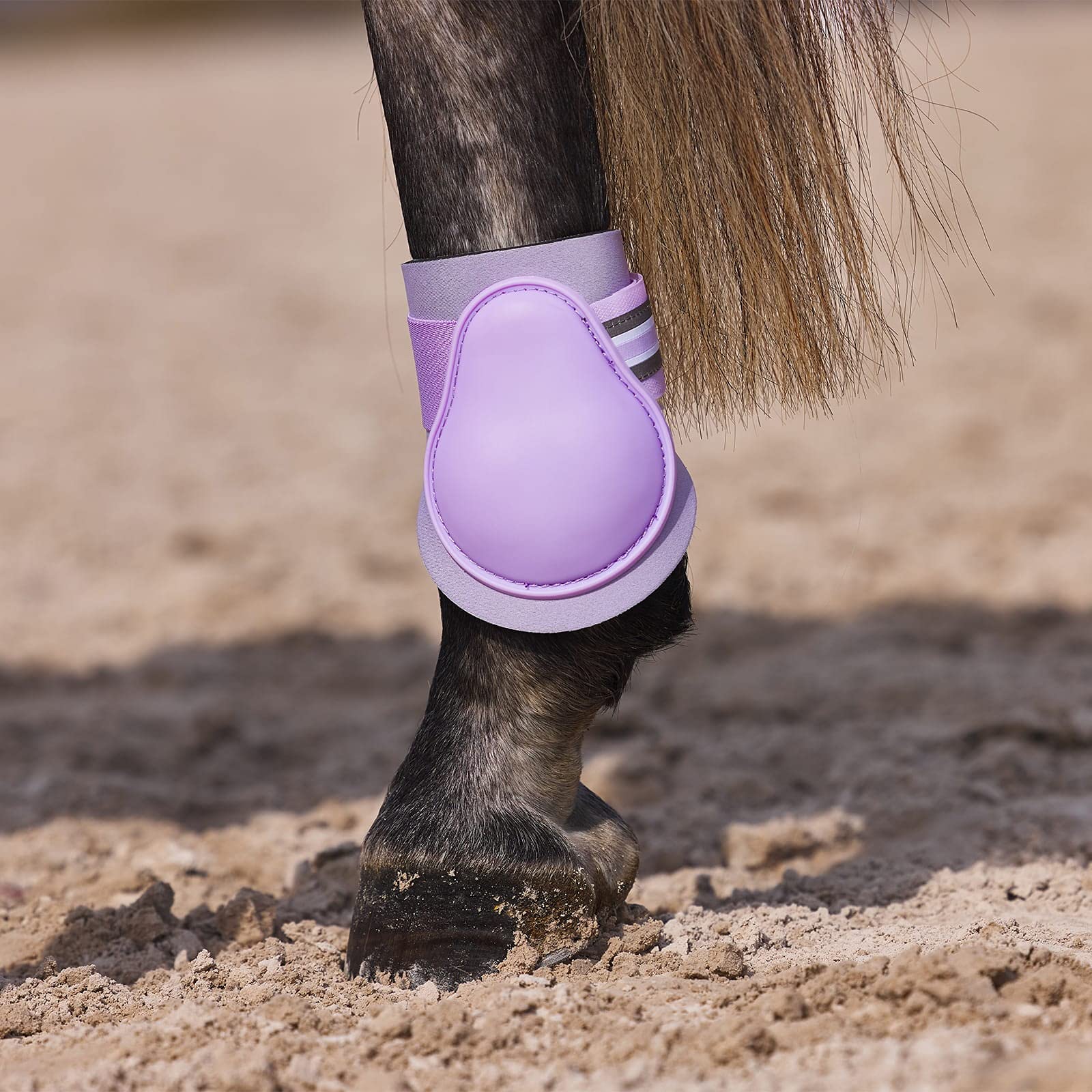 Horze Adepto Fetlock Boots - Languid Lavender Purple - Horse
