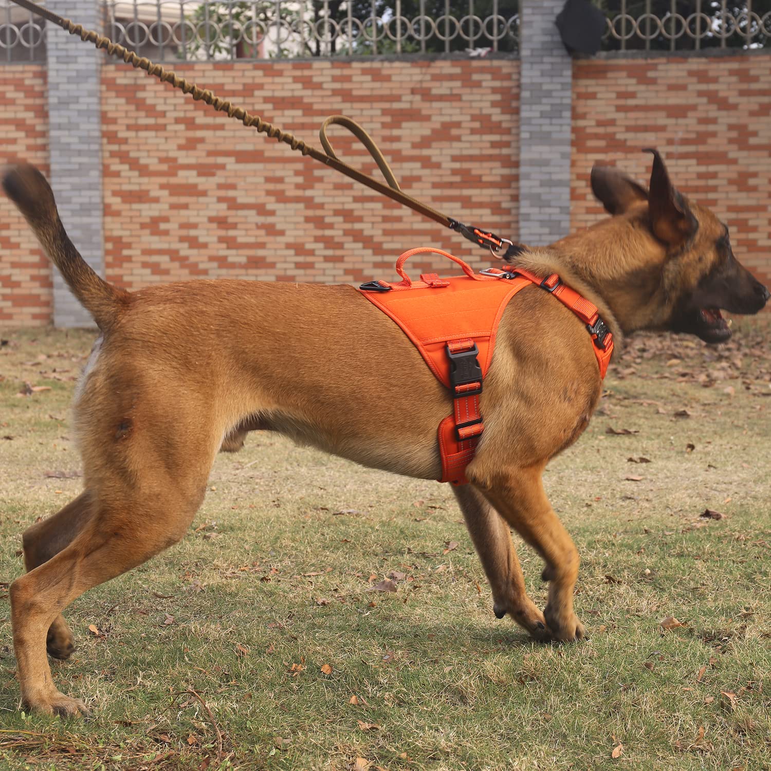 Icefang Gn8 Quick-Moving Tactical Dog Harness With Handle,Reflective In Training Walking K9 Vest,No-Pull Front Lead,5-Points Adjustable,Hook And Loop Panels (Orange, Medium (Pack Of 1))