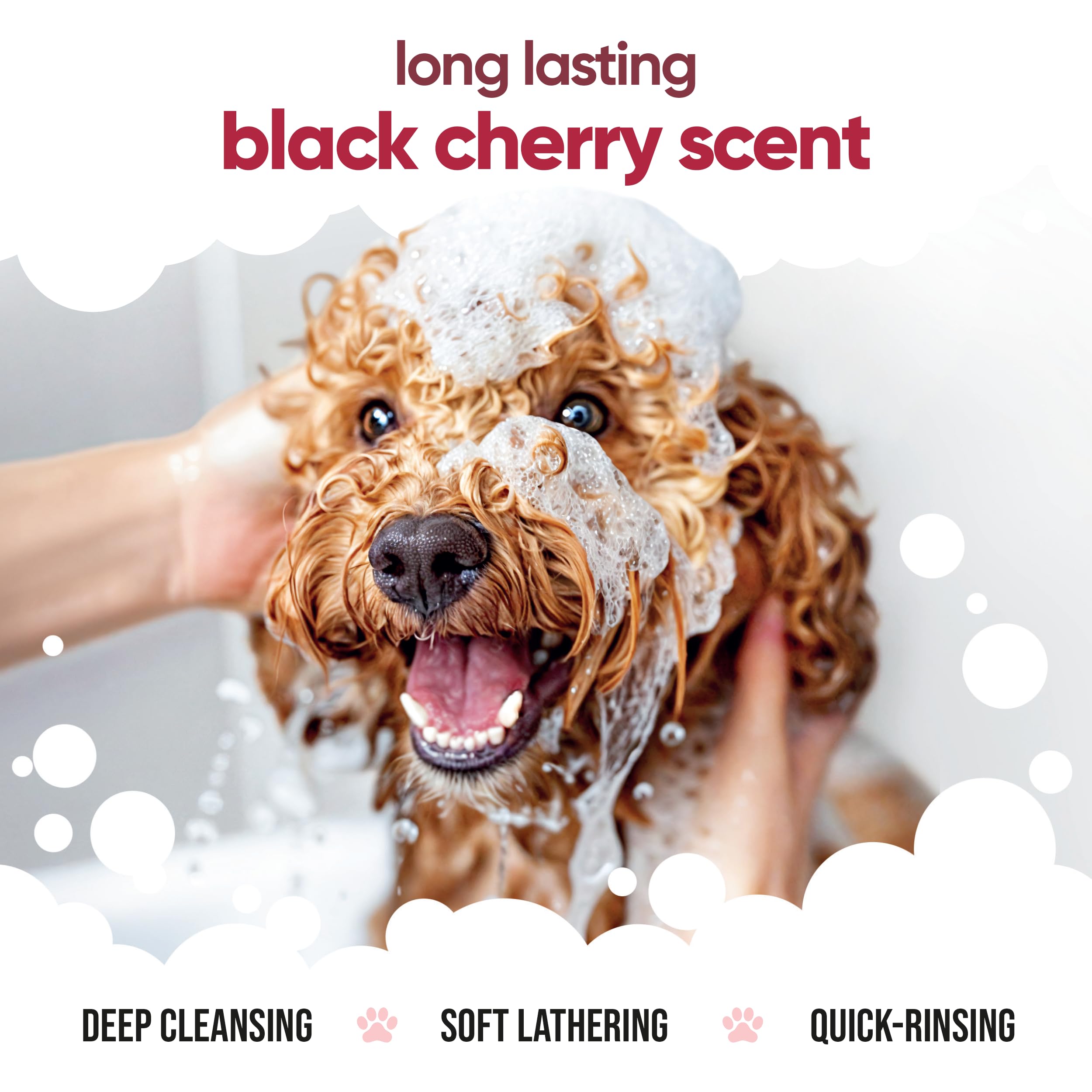 Black Cherry Dog Shampoo By Buddycare | Deep Cleansing Shampoo For Dogs | Black Cherry Scented | With Aloe Vera And Pro Vitamin