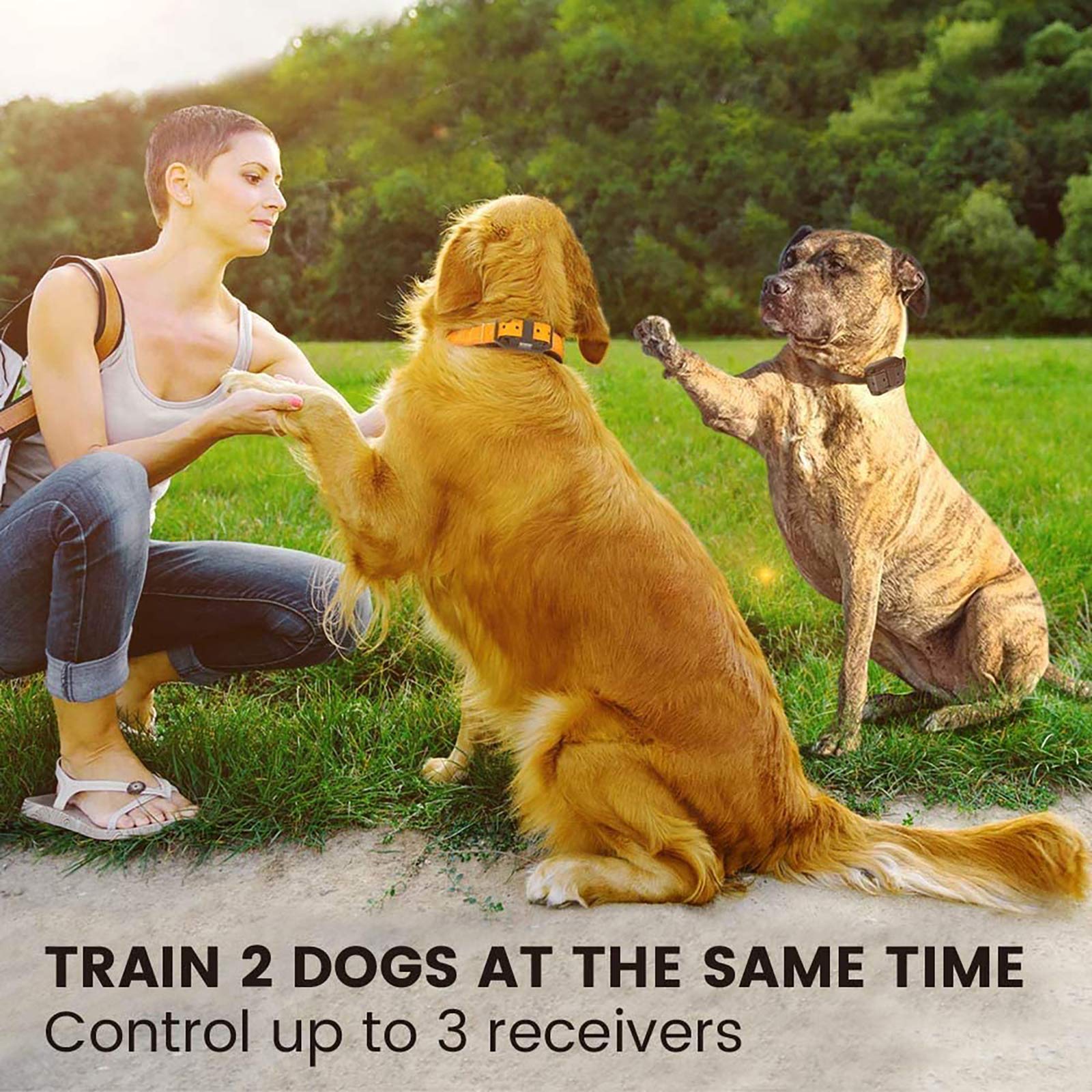 Funnipets Dog Training Collar 2600Ft Range Dog Shock Collar With Remote For Small Medium Large Dogs Waterproof Electronic Dog Collar 4 Training Modes Light Shock Vibration Beep (2 Pack, Orange+Black)