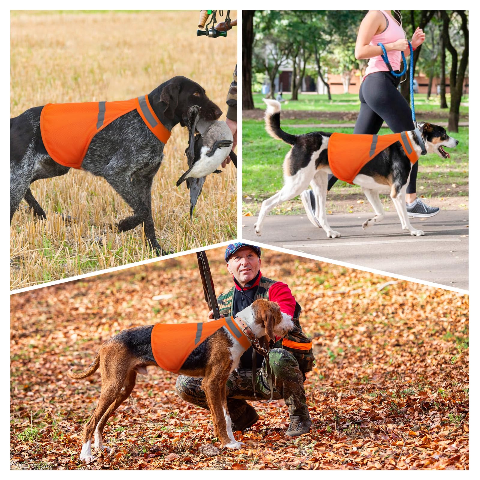 Dog Jacket High Visibility Safety Reflective Dog Vest For Small Medium Large Dogs (Small, Orange)