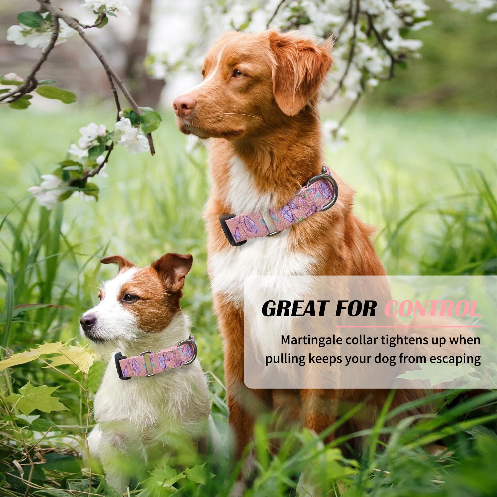 Hikiko Martingale Collar For Dogs Adjustable Soft Nylon Dog Collars With Cute Patterns For Small Medium Large Dog(Pink Butterfly