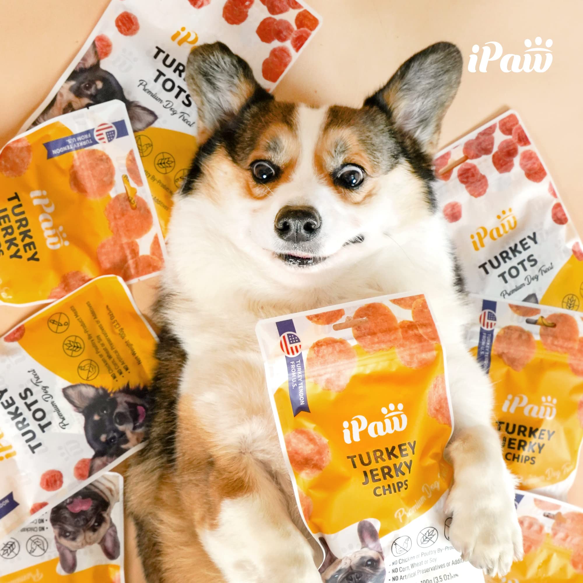 iPaw Turkey Tots Dog Treats for Puppy Training, All Natural Human Grade Dog Treat, US Sourced Raw Material, Hypoallergenic, Easy