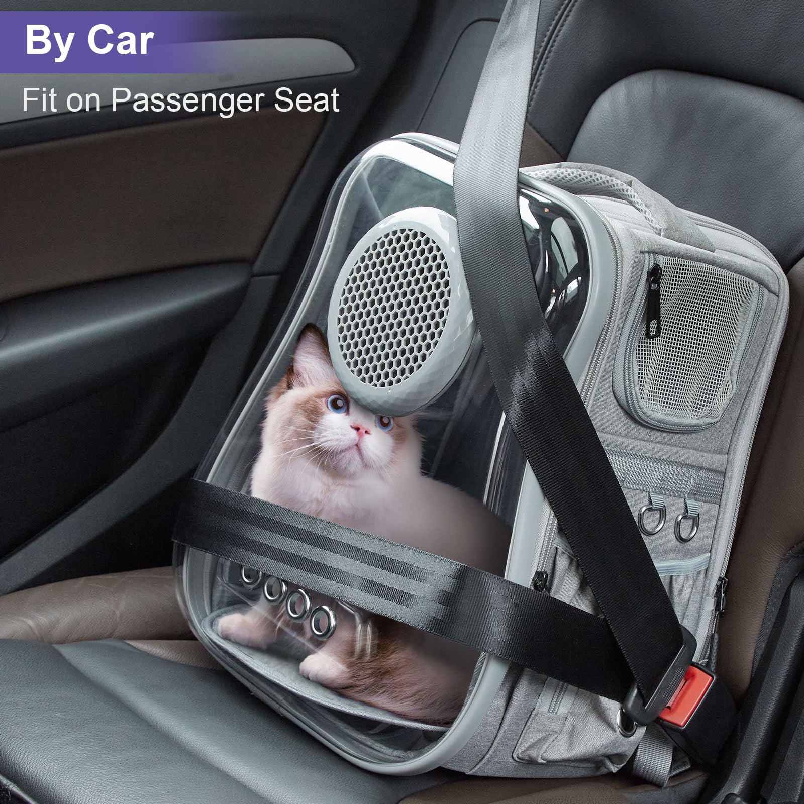 Ownpets Cat Backpack Carrier, Breathable Bubble Pet Backpack For Cats And Small Dogs Up To 15Lbs, Transparent & Foldable Pet Car