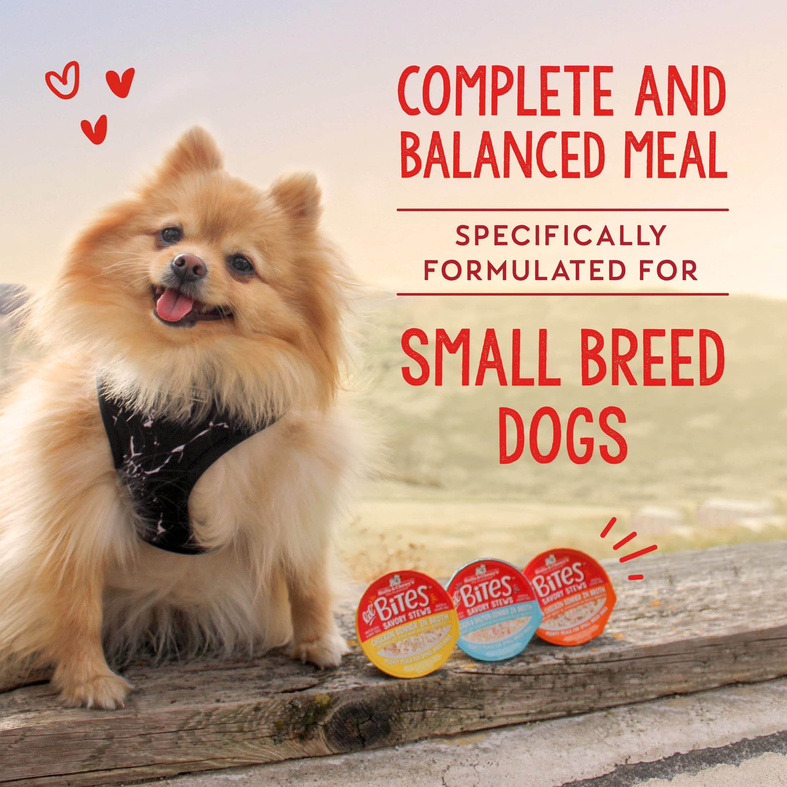 Stella & Chewys Lil Bites Savory Stews for Small Breeds Chicken & Chicken Liver Dinner in Broth, 2.7 oz. Cups (Pack of 12)