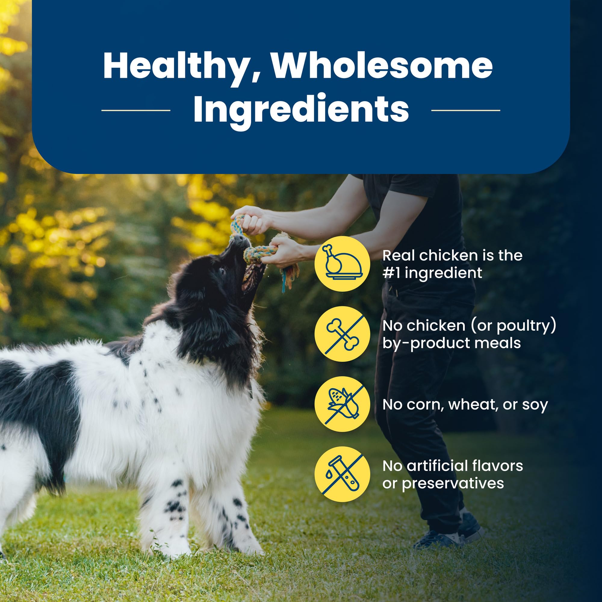 Blue Buffalo Life Protection Formula Natural Adult Healthy Weight Dry Dog Food, Chicken and Brown Rice 15-lb