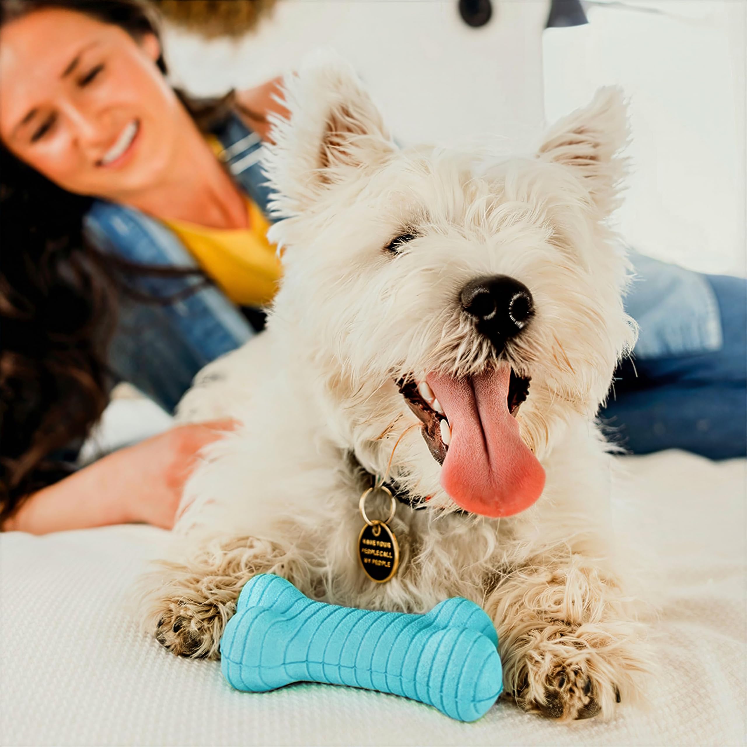 Playology Dog Toys | Dual Layer Bone Durable Chew Toy Bone for Dogs | Medium Peanut Butter Scented Toy - Easy to Clean and Made