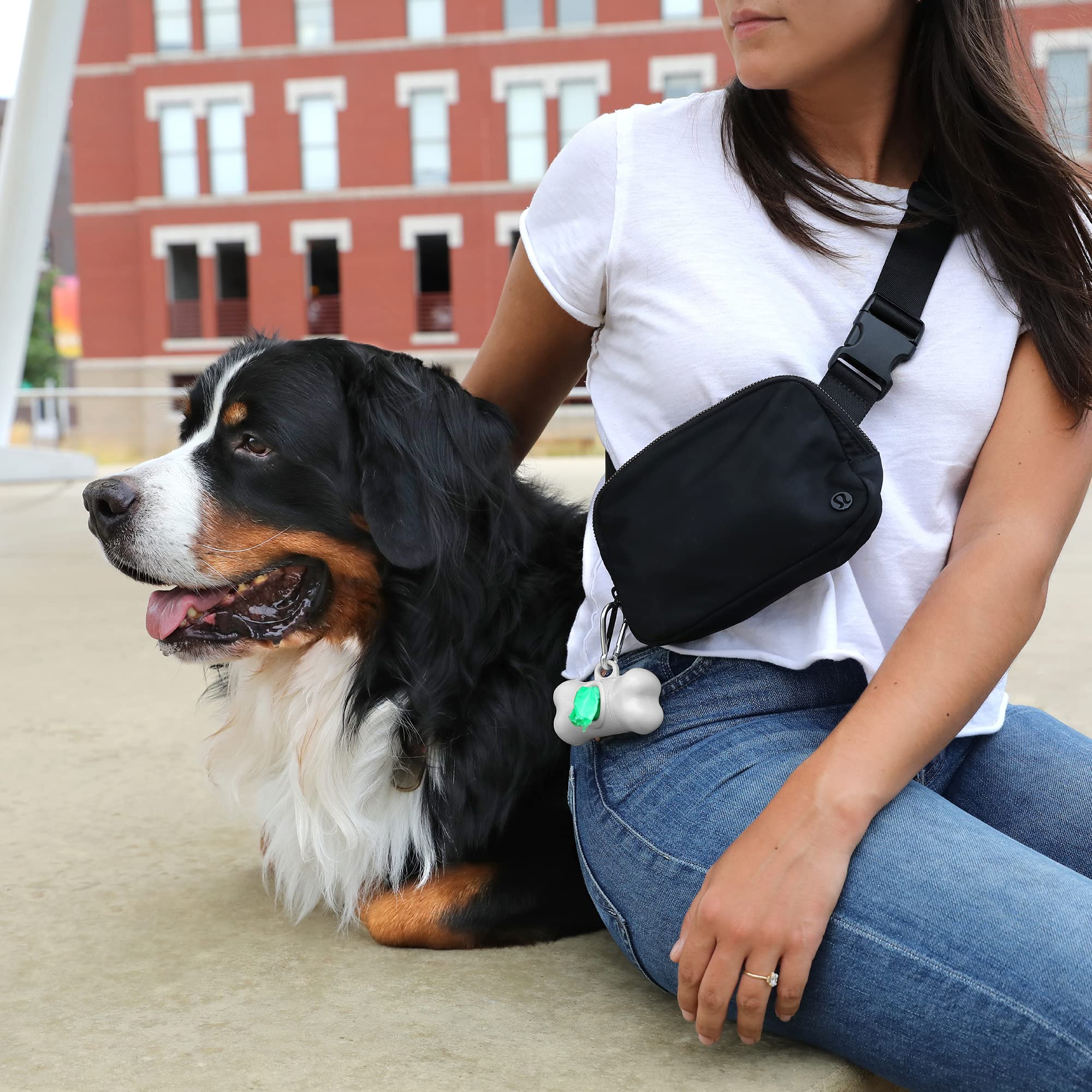 Arm & Hammer Dog Bone Shape Dog Poop Bag Dispenser With 30 Count Plant-Based Poop Bags With Activated Baking Soda; 9 X 14 Inches; White