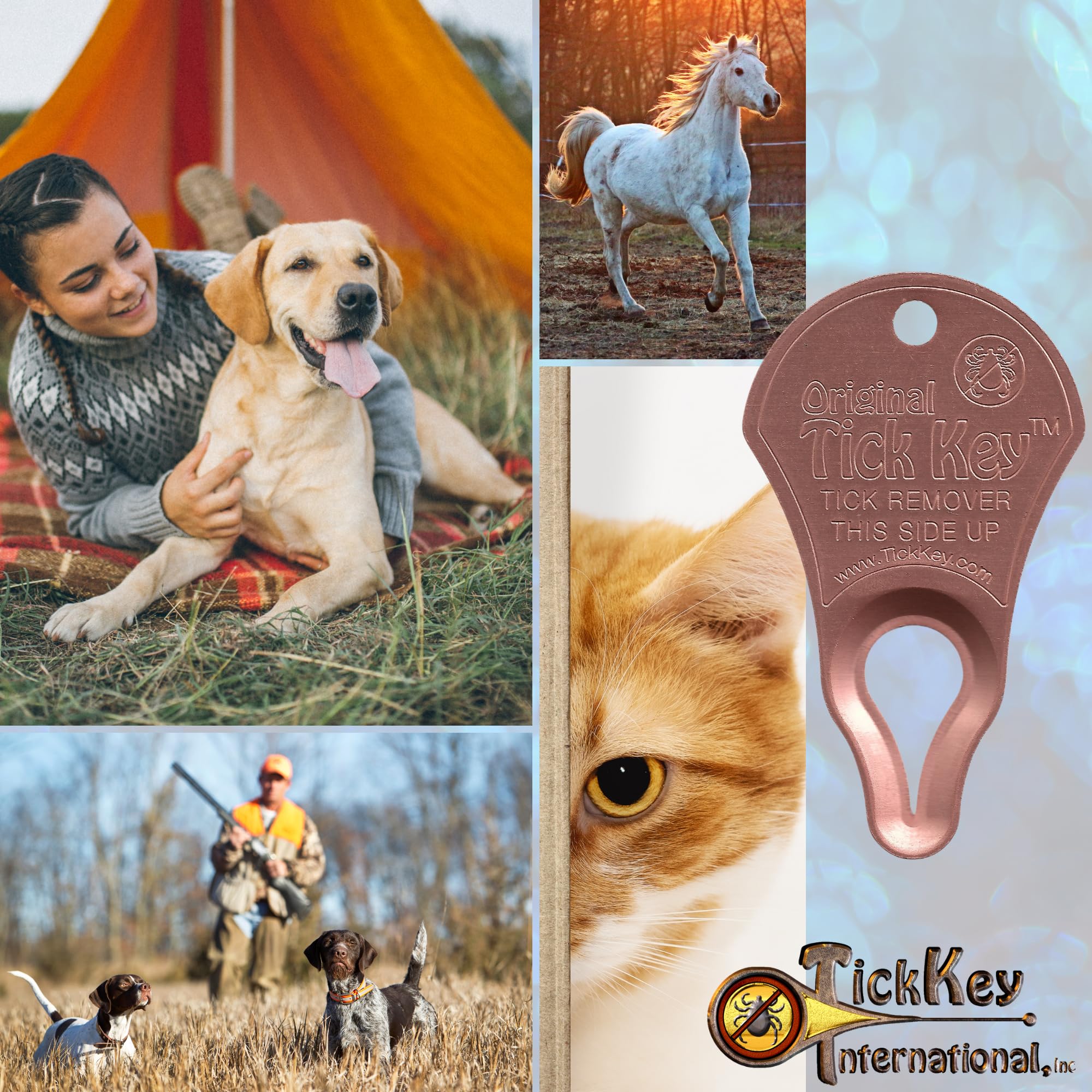 The Original Tick Key - Tick Detaching Device - Portable, Safe and Highly Effective Tick Detaching Tool (Copper)