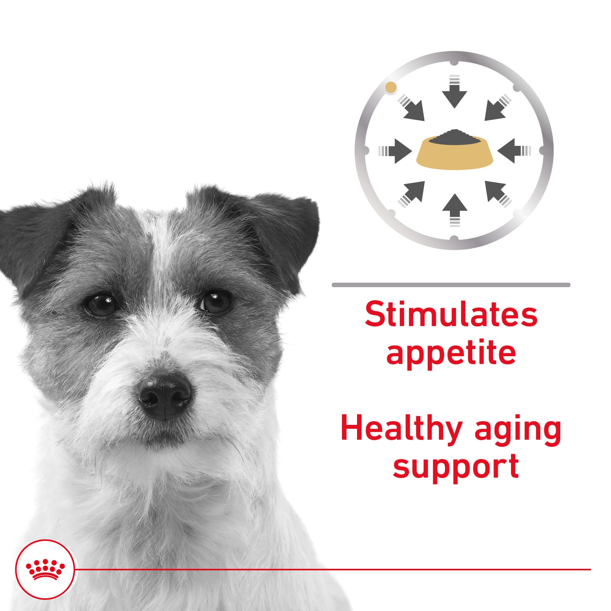 Royal Canin Canine Health Nutrition Mature 8+ Loaf In Sauce Canned Dog Food, 5.2 oz