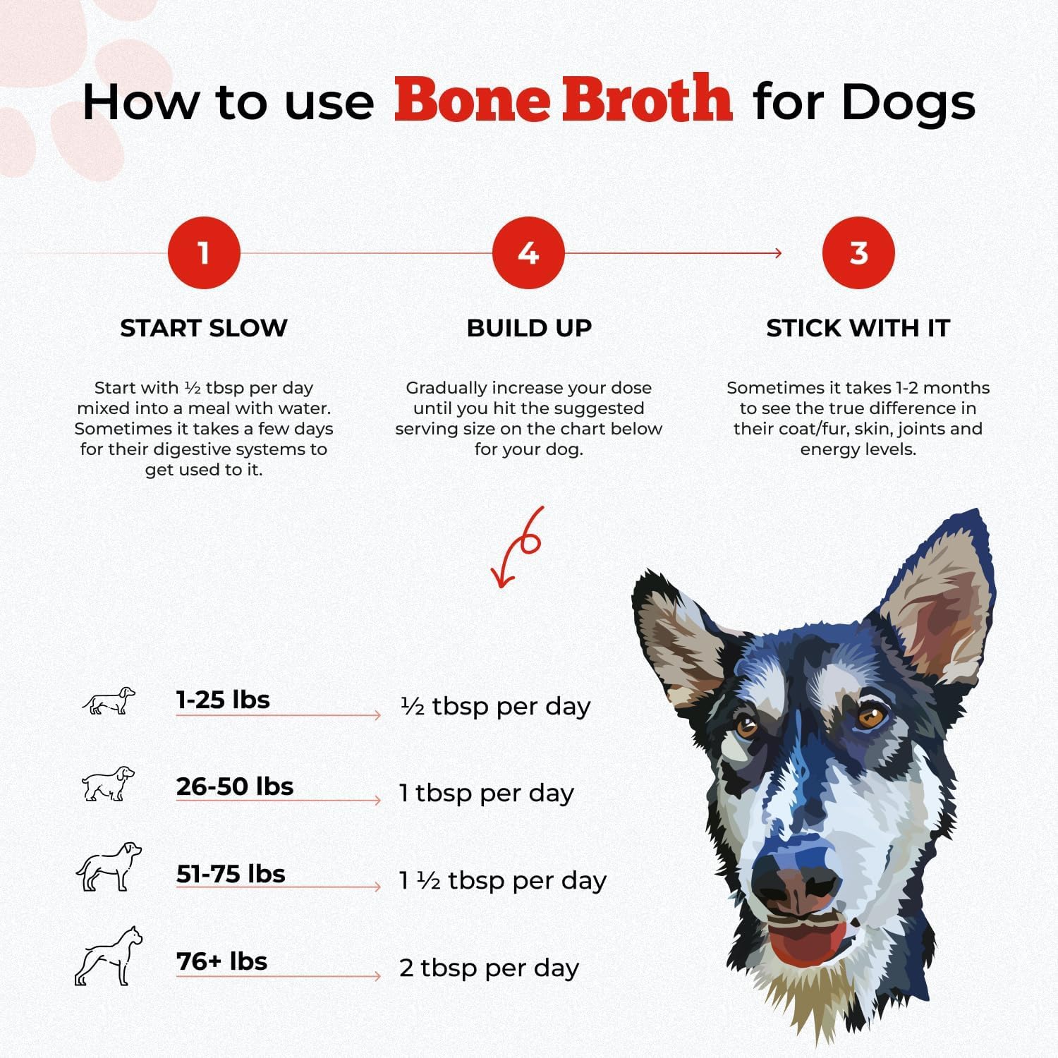 BLUEBIRD PROVISIONS Beef Bone Broth for Dogs - High Protein Bone Broth for Cats - Beef Bone Broth Powder for Dogs - Dehydrated B