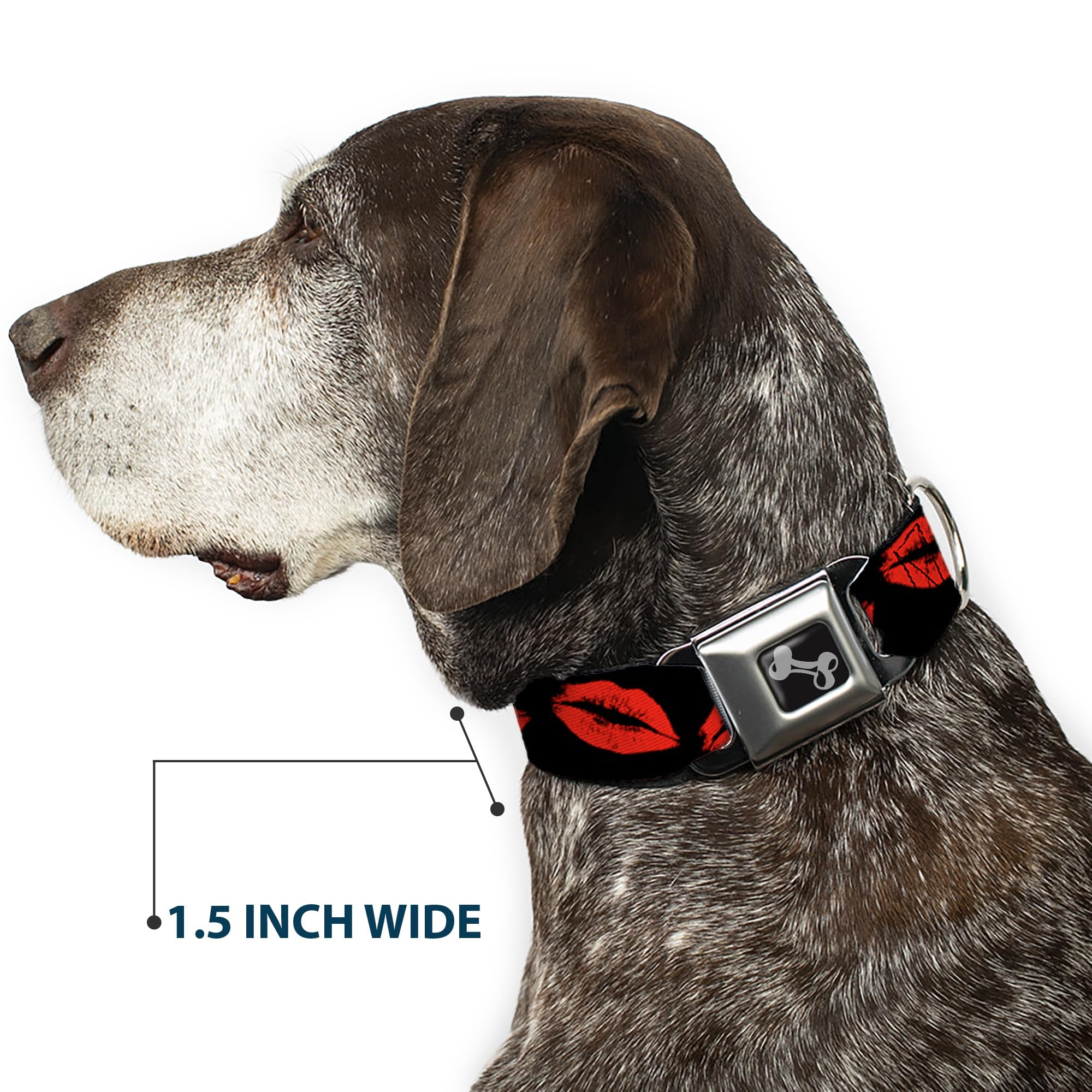 Buckle-Down Seatbelt Buckle Dog Collar - Kisses - 1 Wide - Fits 11-17 Neck - Medium