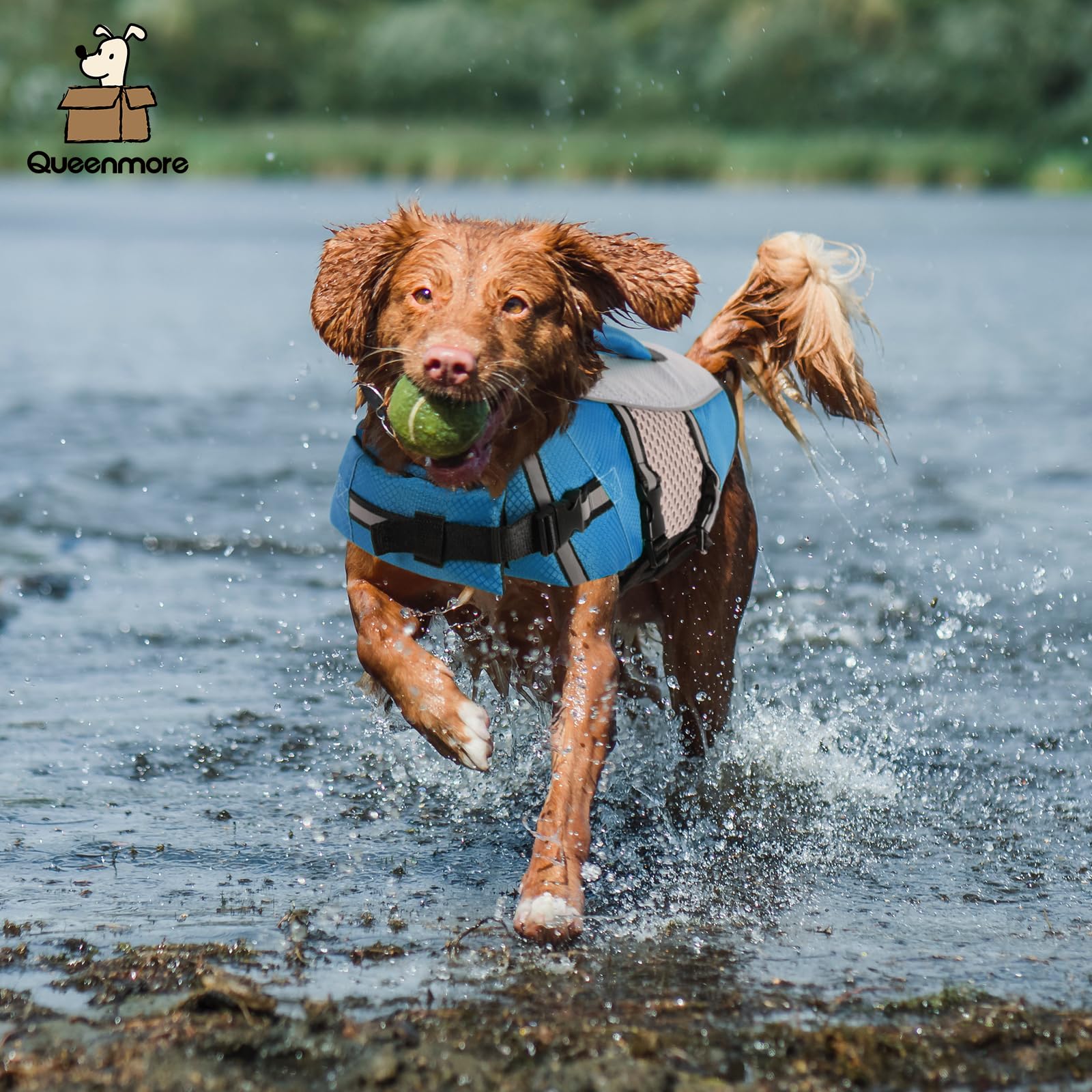 Queenmore Dog Life Jacket Vest For Swimming Boating Kayaking, Small Medium Doggie Puppy Life Preserver Lifesaver Pet Pfd Lifejac