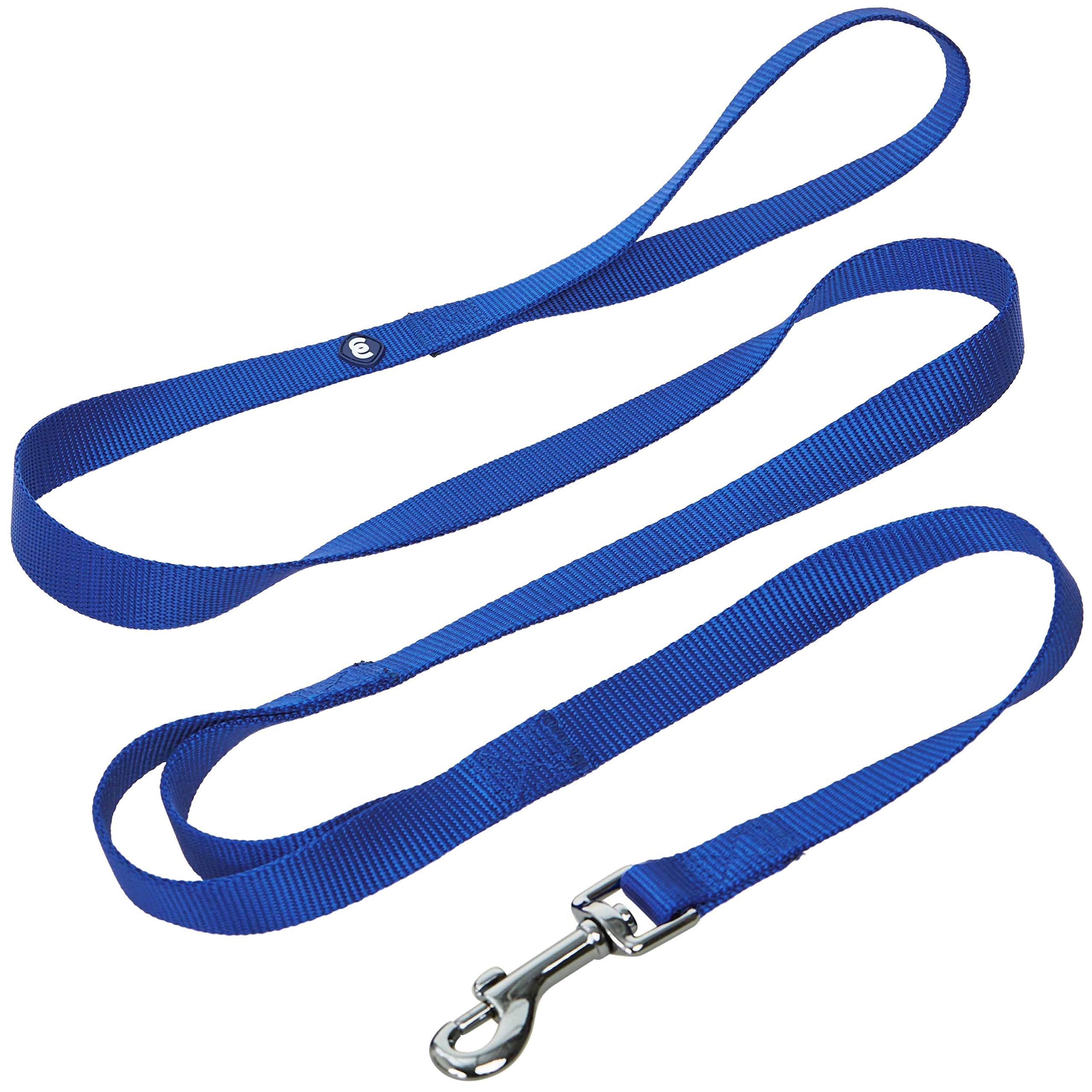 Blueberry Pet Essentials Durable Classic Dog Leash 5 Ft X 3/4', Royal Blue, Medium, Double Handle Leashes For Dogs