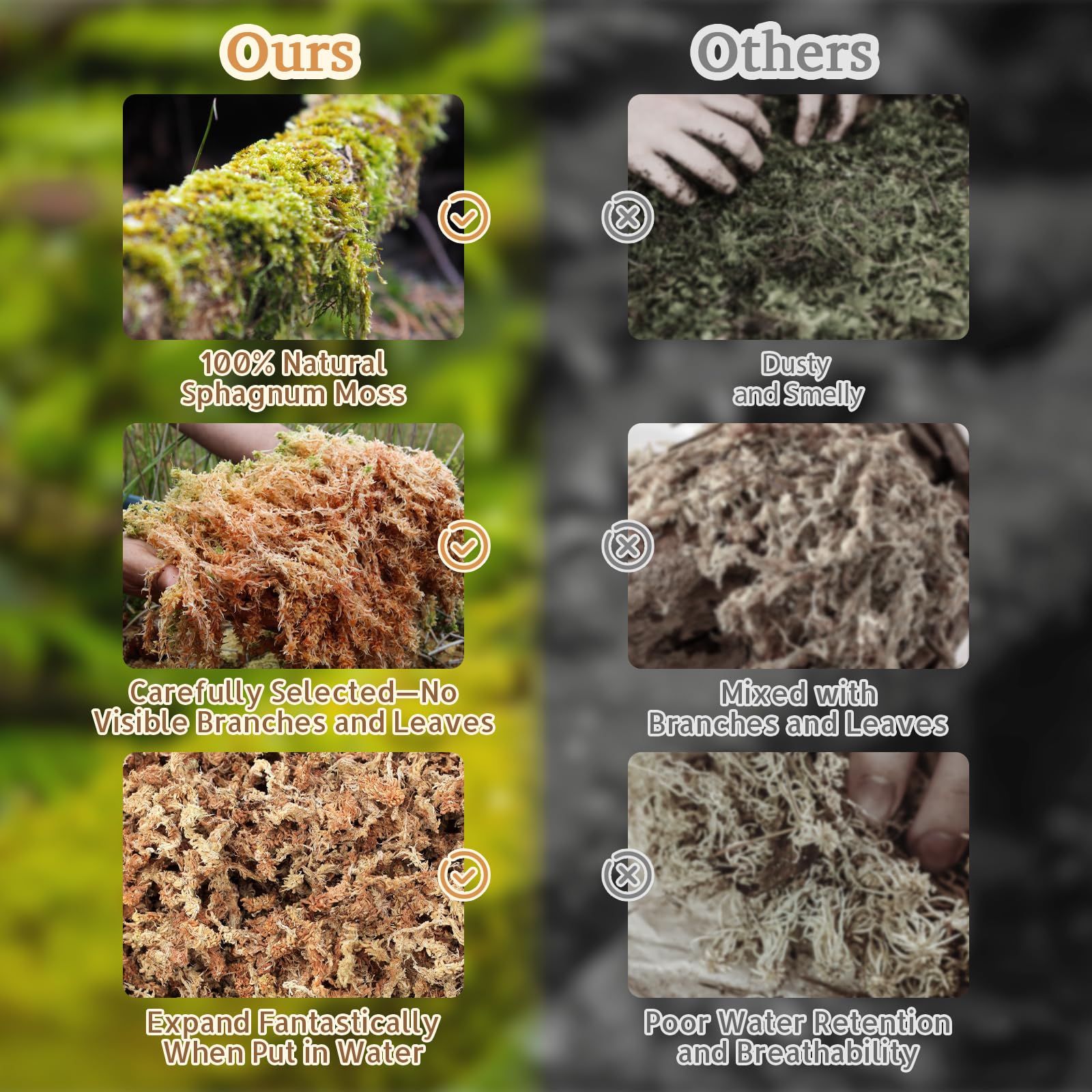 Riare 2.2Lb Premium Sphagnum Moss For Reptiles- 50Qt Natural Reptile Moss Dried, Forest Live Moss For Terrarium, Frogs Snake Pea