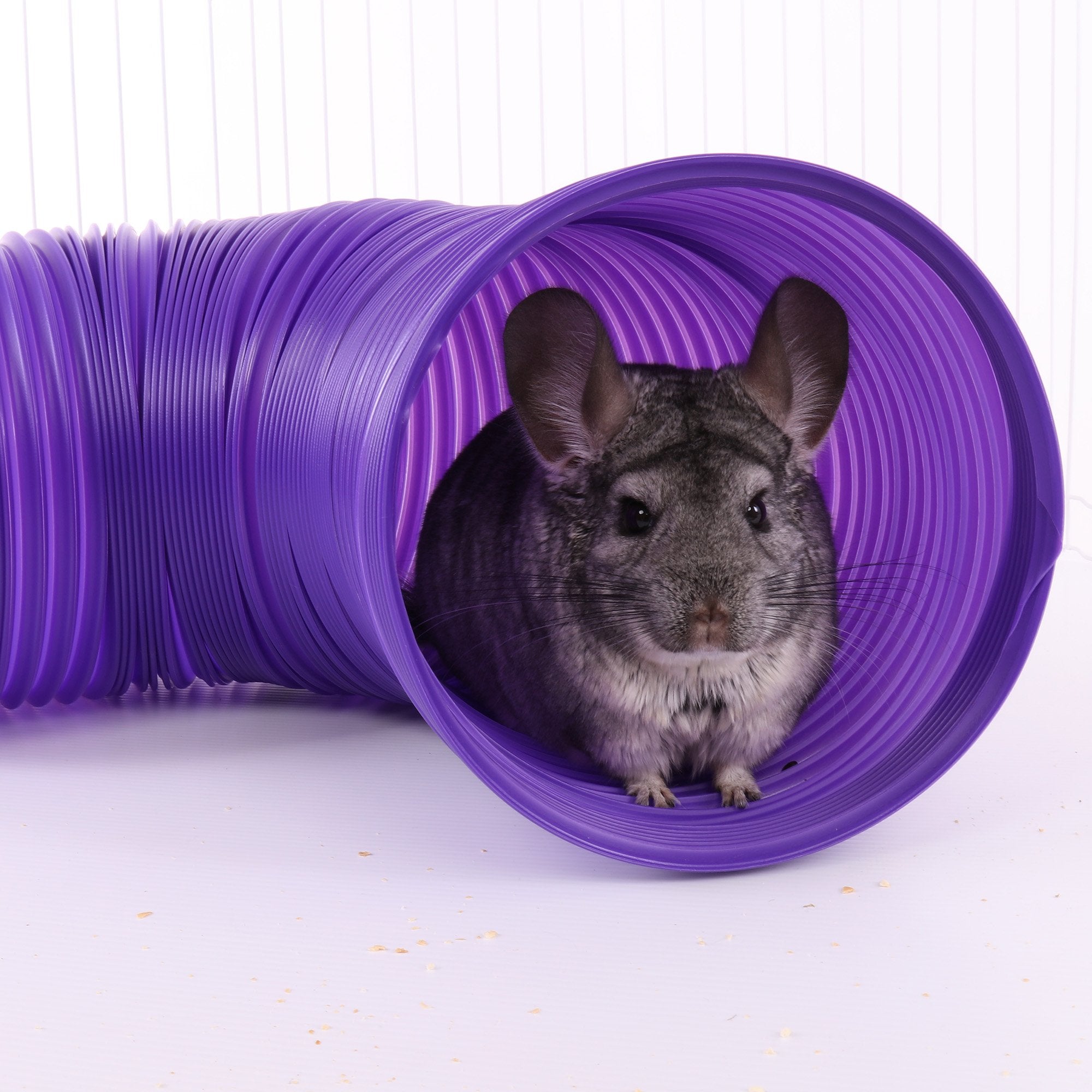 Ware Manufacturing Fun Tunnels Play Tube For Small Pets, 30 X 8 Inches - Large