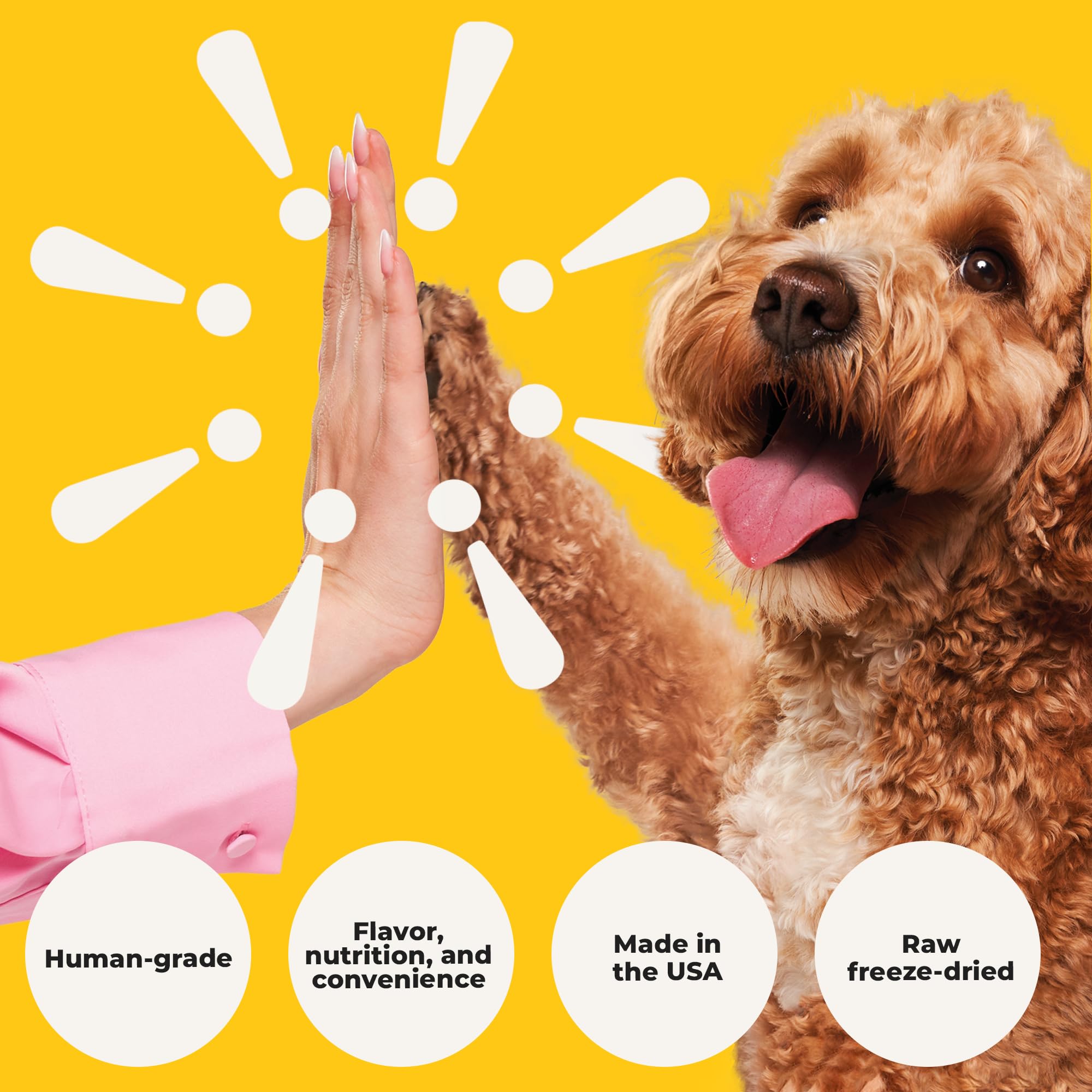 Heckova! Beef Lover - Freeze Dried Beef Liver Dog Treats - Single Ingredient Human Grade Raw Beef Liver Bites for Training, Meal