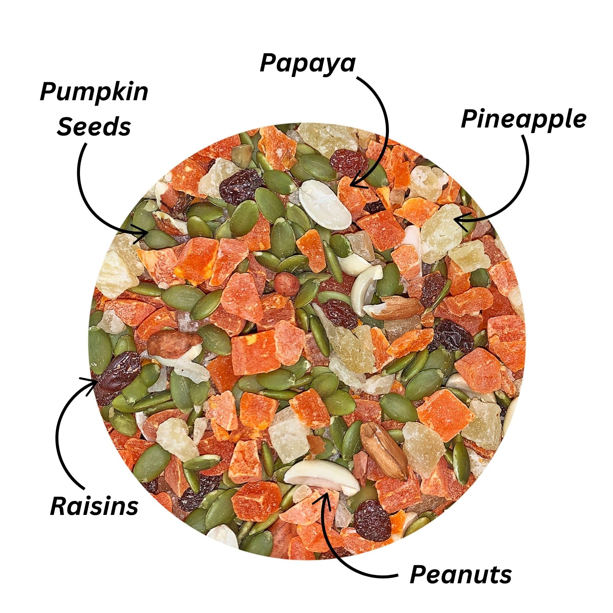 Fruit & Nut Mix - Healthy & Unique Mixed Nuts & Dried Fruit Treat - Sugar Gliders, Squirrels, Marmosets, Parrots, Birds, Rats, R