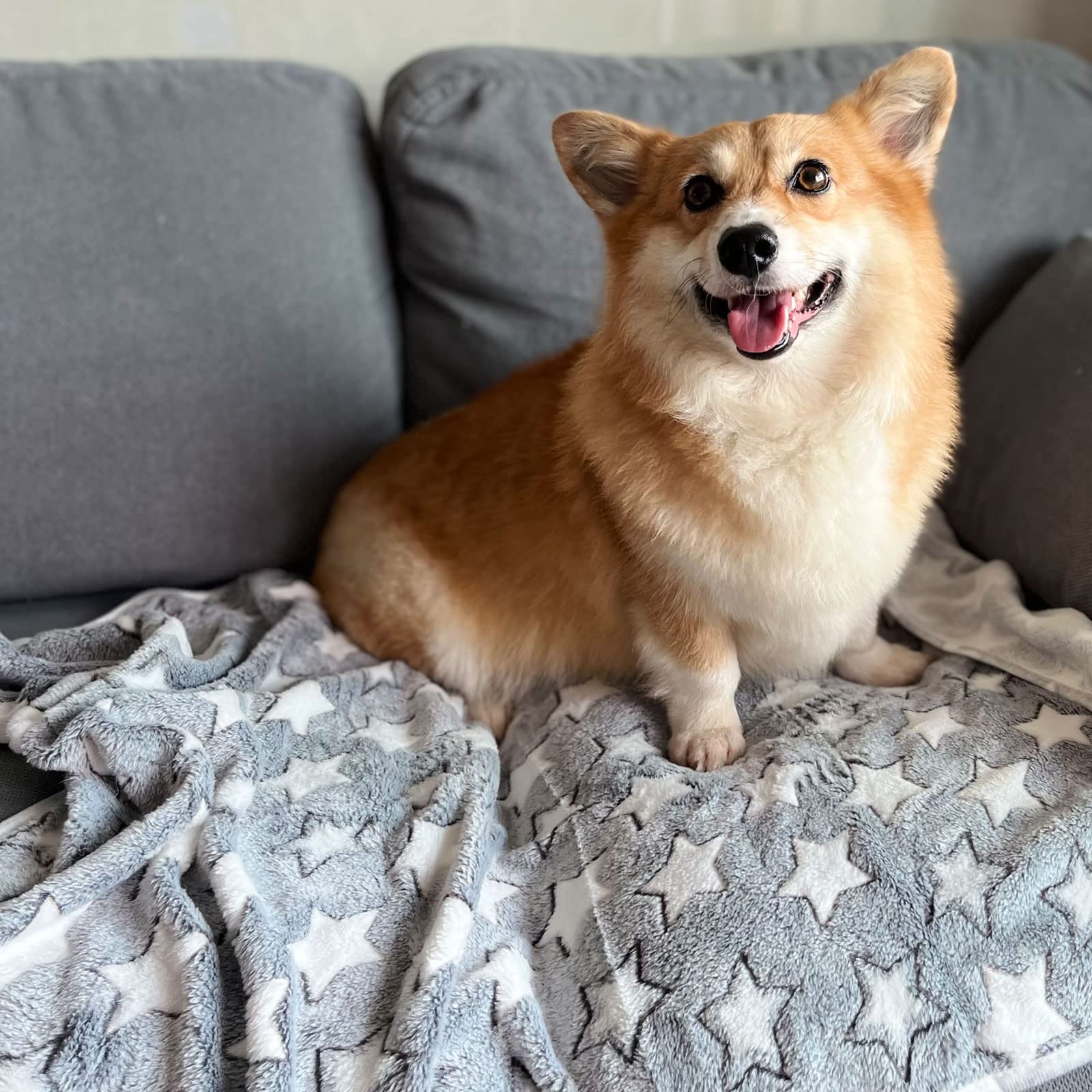 1 Pack 3 Puppy Blankets Cat Dog Blankets Super Soft Warm Sleep Mat Grey Star Cute Print Blanket Fluffy Fleece Pet Blanket Flannel Throw For Small Dogs Puppy Dogs Cats Large(40'X30')