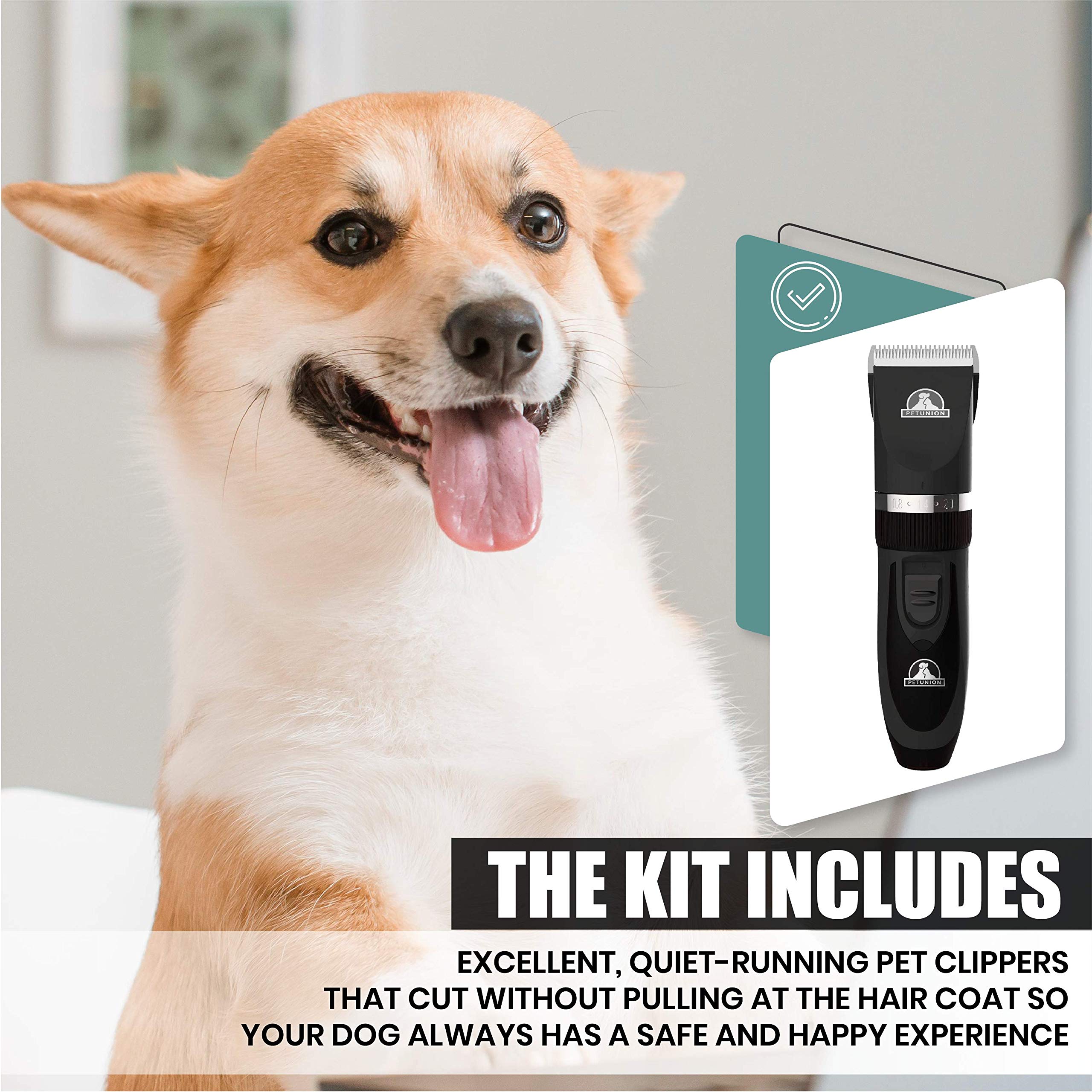 Pet Union Professional Dog Grooming Kit - Cordless Low Noise Dog Clippers For Grooming Thick Coats - All Pet Safe Cat Hair Trimmer - Pet Grooming Kit Includes Dog Hair Clippers, Nail Trimmer & Shears