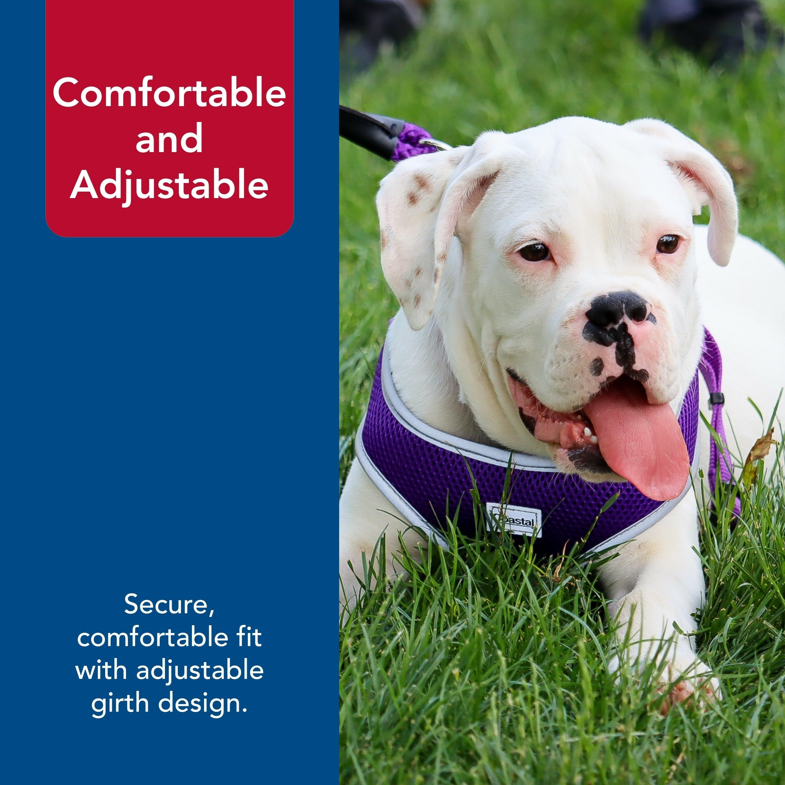 Coastal Pet Comfort Soft Reflective Wrap Adjustable Dog Harness - No-Pull Dog Harness For Small & Large Dogs - Purple - 5/8' X 19'–23'