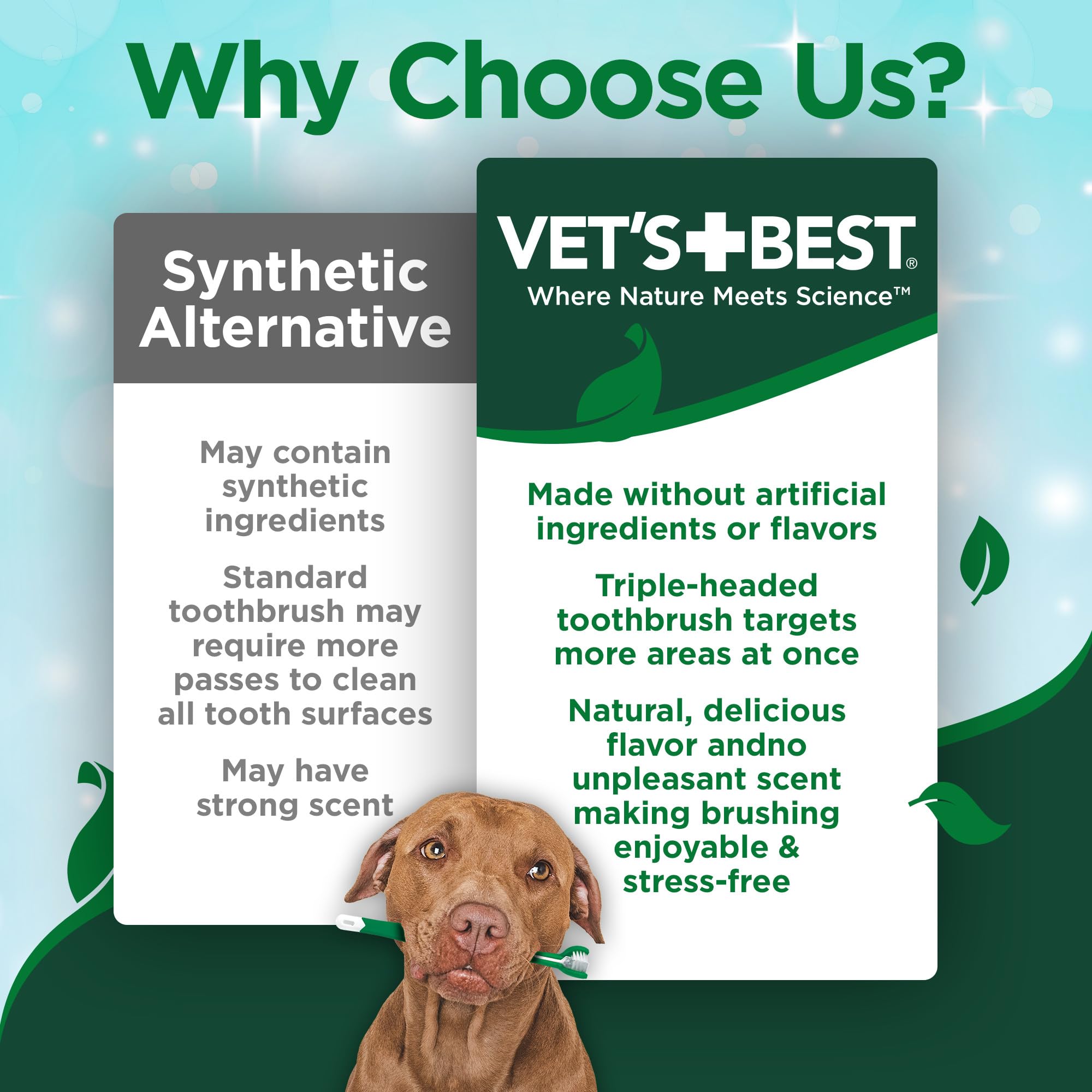 Vets Best Dog Toothpaste & Dog Toothbrush, Dental Kit, Plaque Remover for Teeth, Whitens Teeth, Freshens Canine Breath, Veterin