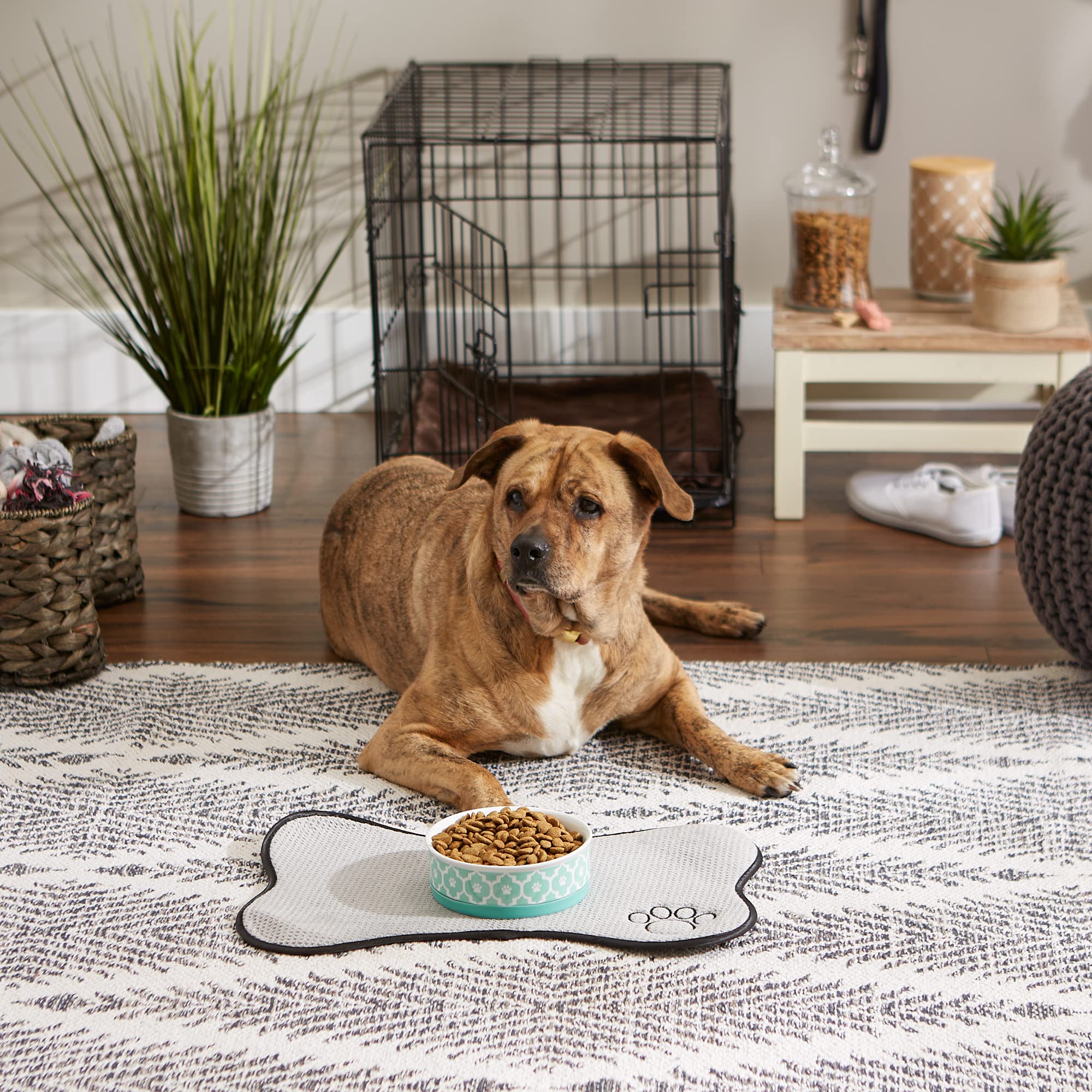 Bone Dry Lattice Collection Pet Bowl & Canister, Single Dish, Medium 6x2, Aqua