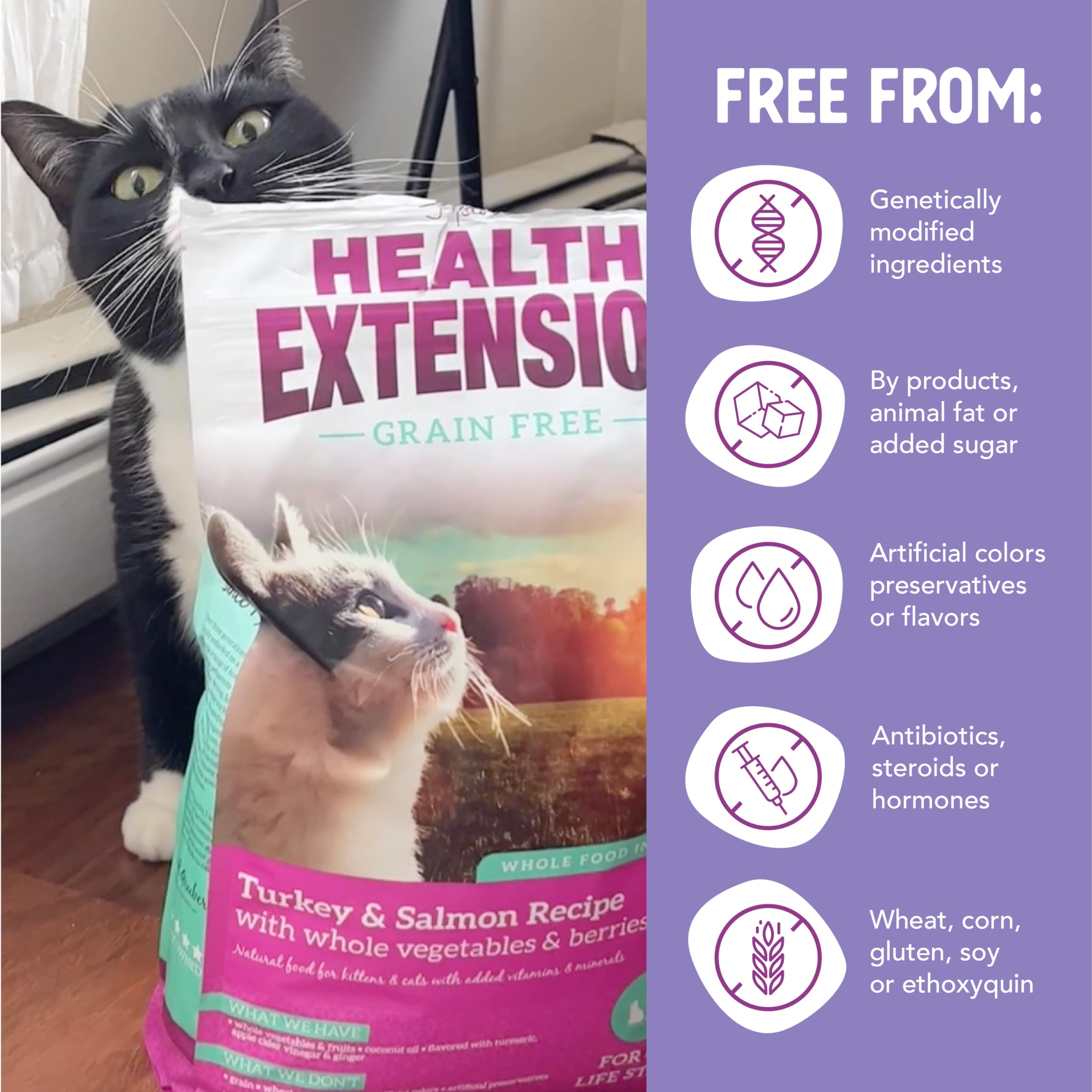 Health Extension Dry Cat Food, (4 lb / 1.81 kg) - Turkey & Salmon Recipe with Whole Vegetables, Berries, Added Vitamins & Minera