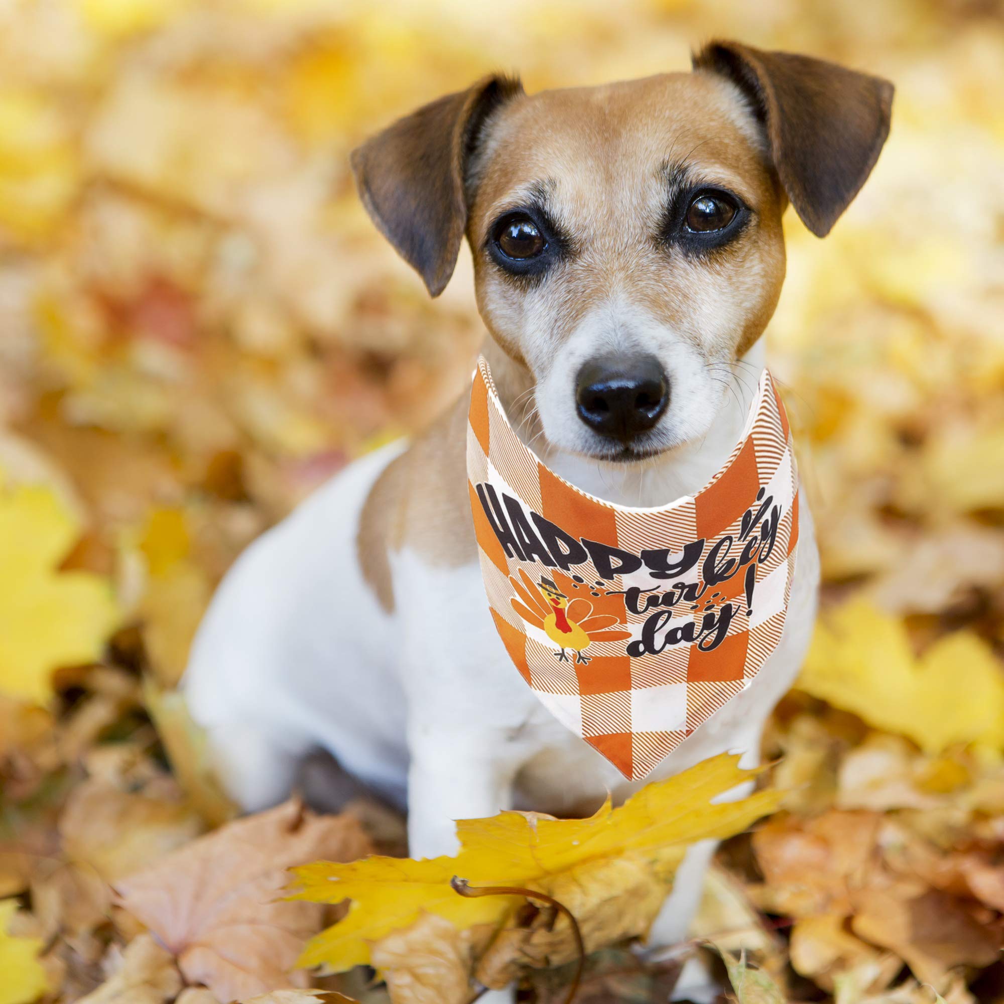 Adoggygo Thanksgiving Dog Bandana Fall Autumn Pet Bandana Reversible Triangle Bibs Scarf Accessories For Small Dogs Puppy (Small