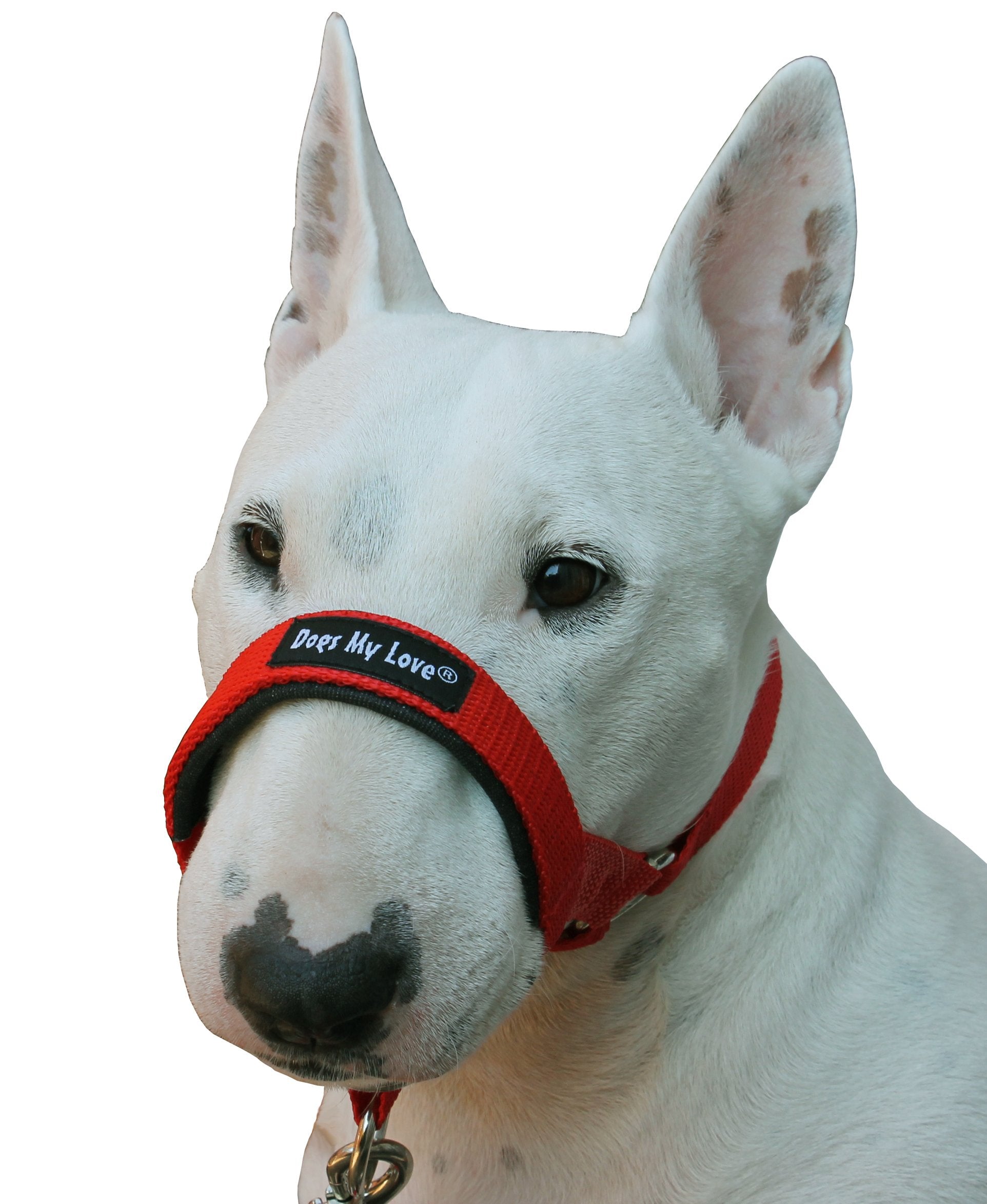 Dog Head Collar Halter Red 6 Sizes (L: 10.25'-12.25' Snout)