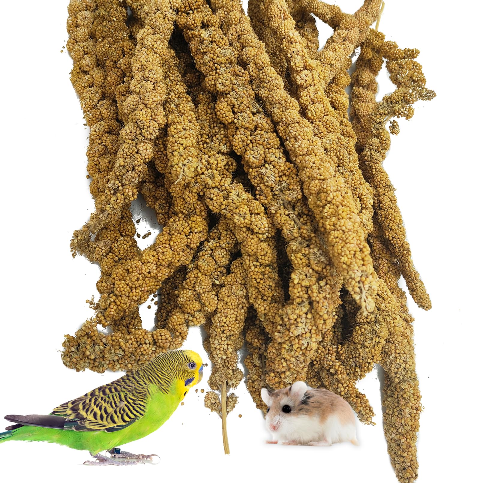 kathson Natural Sun-Dried Birds Millet Spray Millet Treat bird snacks for Parrots Cockatiels Lovebirds Painted Buntings and Finc