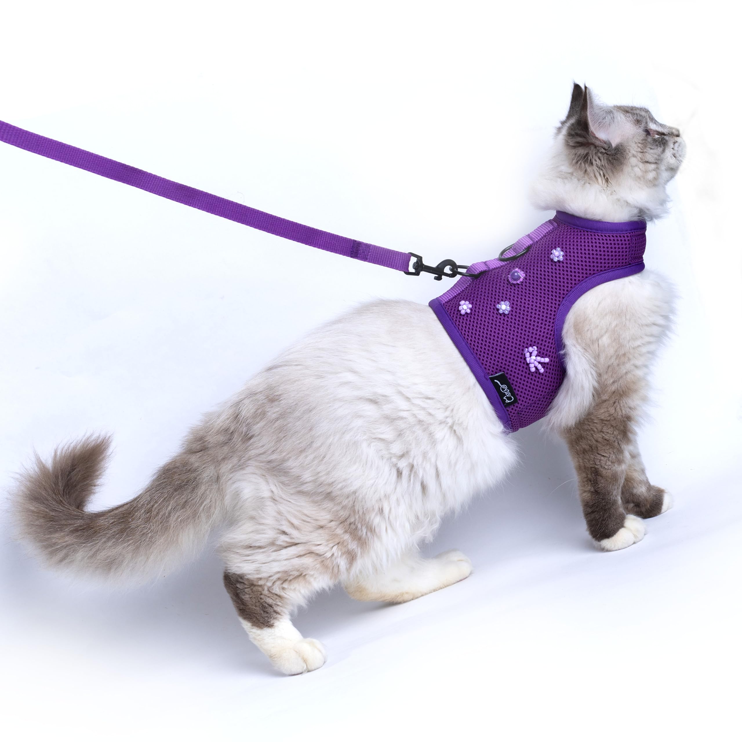 Yizhi Miaow Kitty Harness and Leash for Walking Escape Proof Breathable Mesh Fabric, Purple, Small, Adjustable Cat Walking Jacke