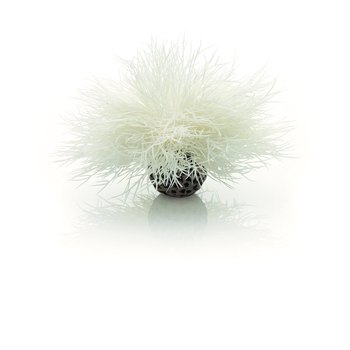 Biorb Sea Lily White