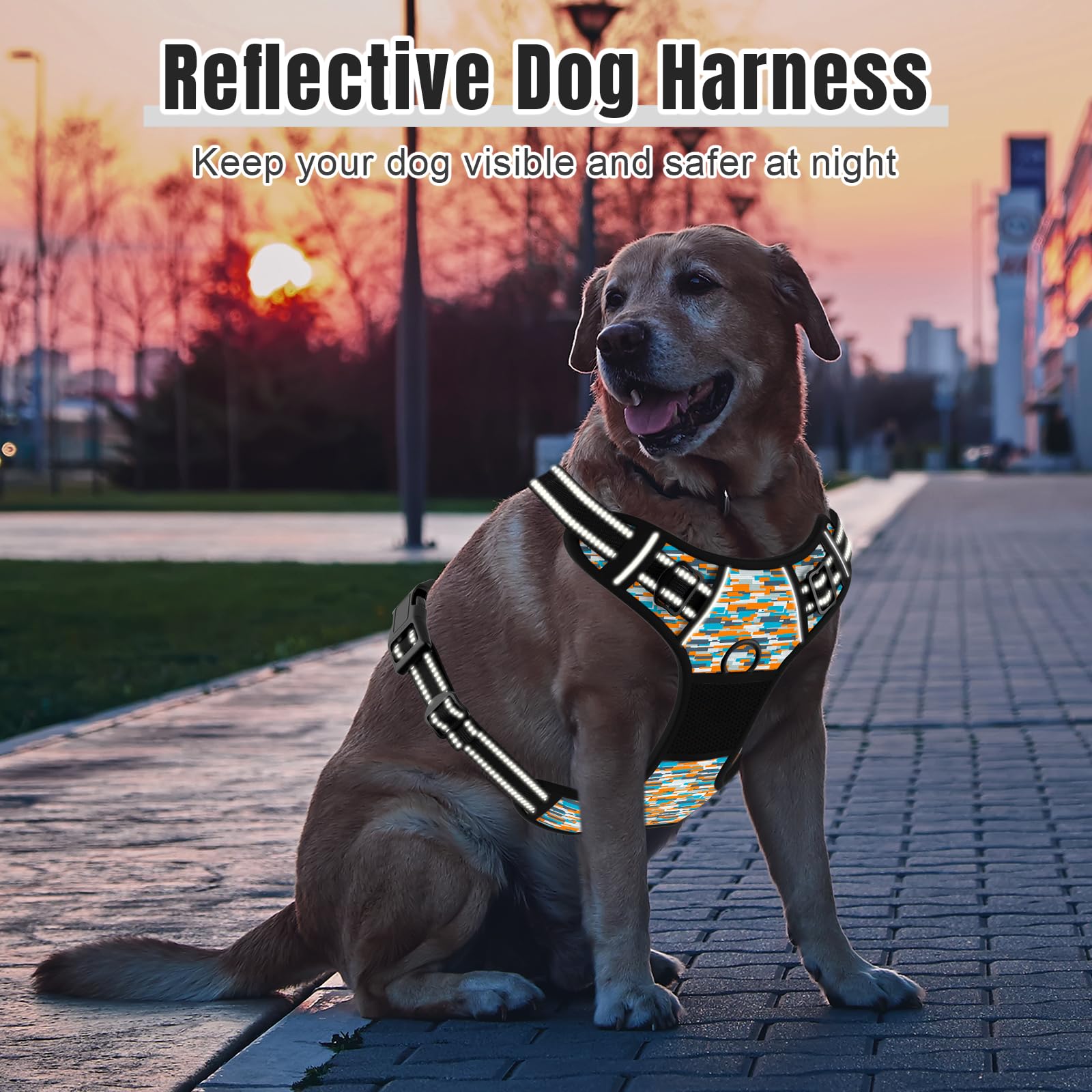 Rnivvi No Pull Dog Harness, Cute Boho Reflective X-Small Sized Puppy Kitten Harness, Adjustable Soft Padded Vest for Small Dogs,