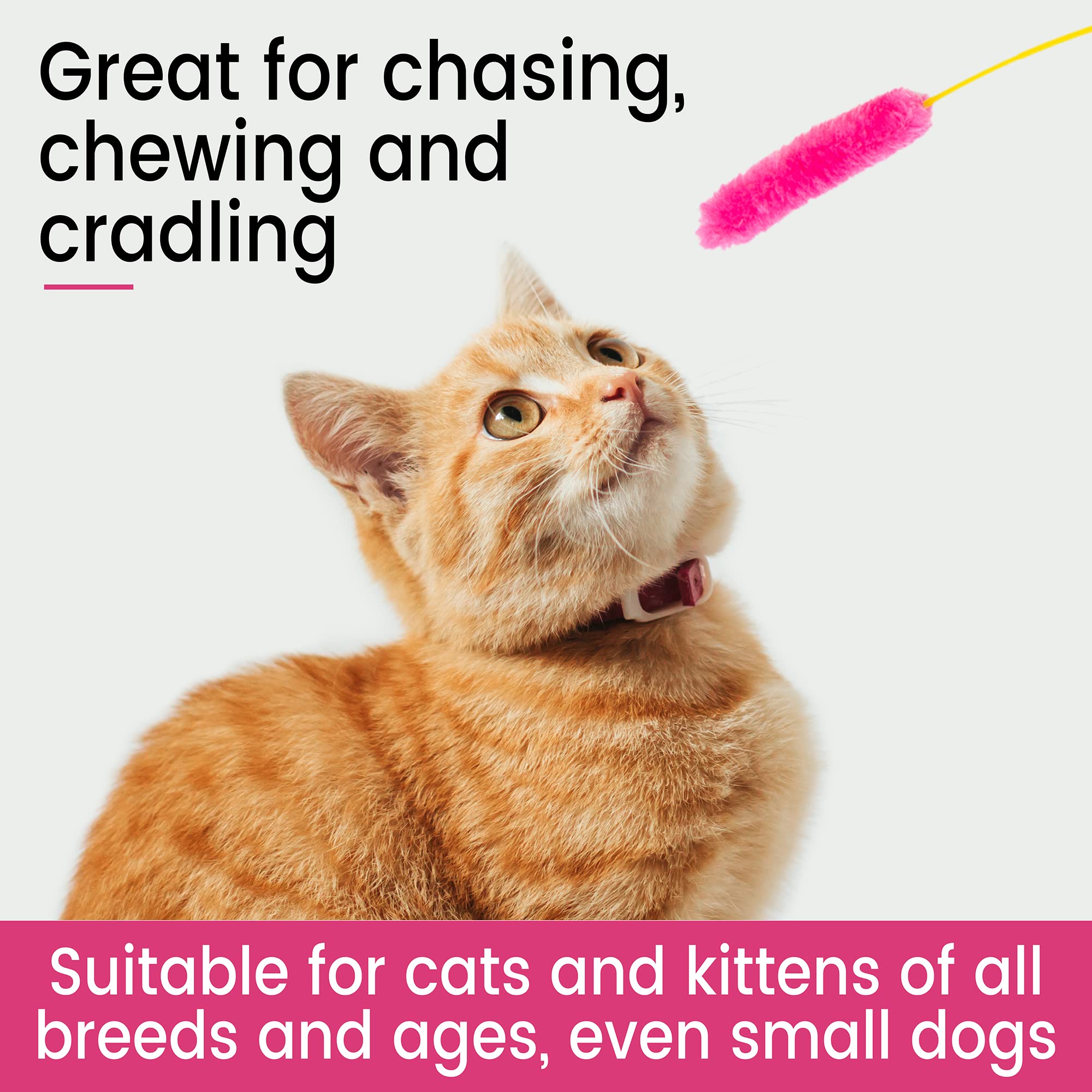 Alabongcat, Interactive Catnip Cat Toy, A Blue Fish Catnip Toy (Filled With Natural Catnip) And Pink & Green Cat Teaser Wand Toy