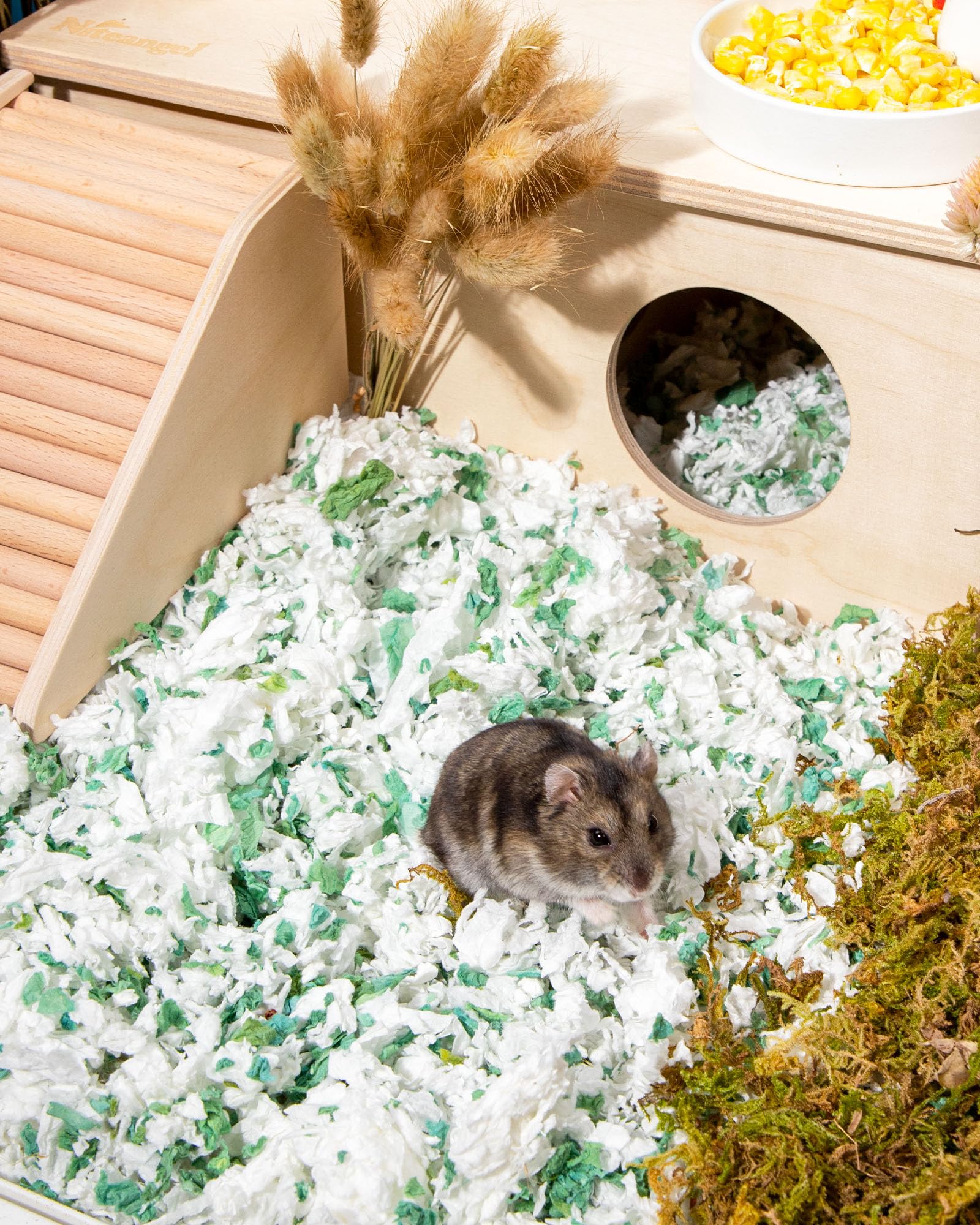 Niteangel Aspen Shaving Hamster Beddings for Syrian Dwarf Hamster Gerbil Mice Degu Rat Rabbit Bunny Guinea Pig Chinchilla Hedgeh